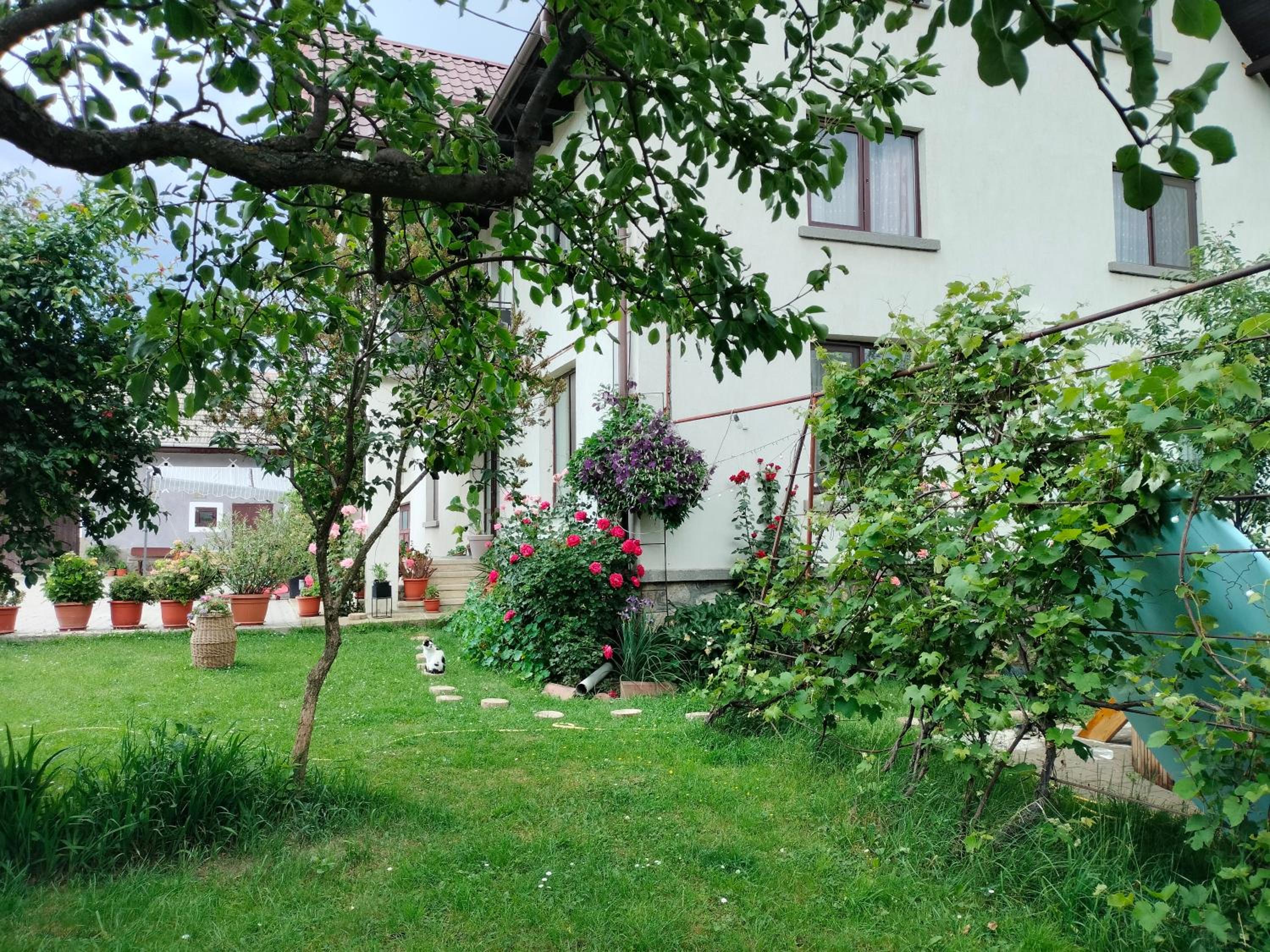 Casa Cornelia view 2