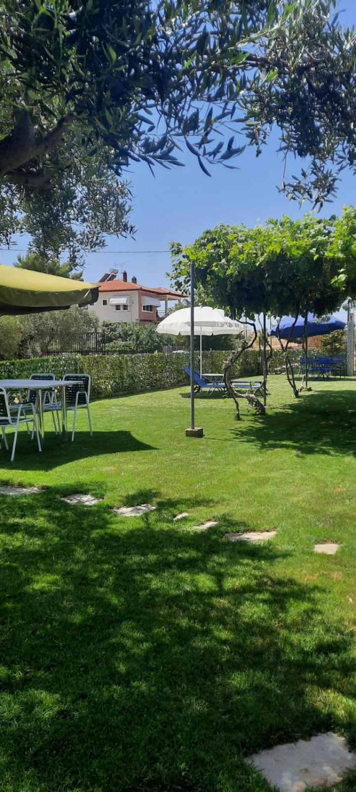BS Village green view 5