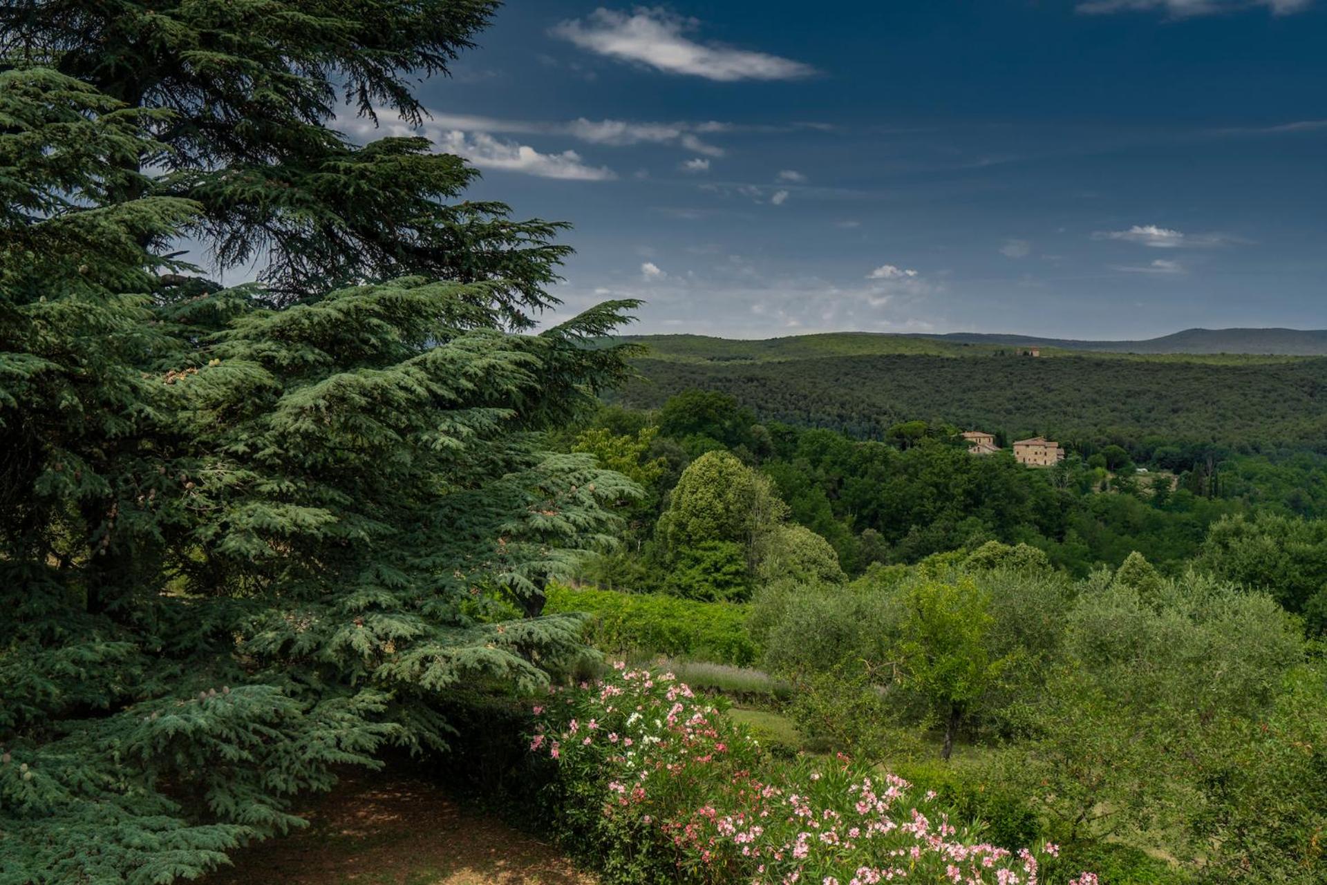 Borgo Villa Certano - Case Vacanza in Toscana