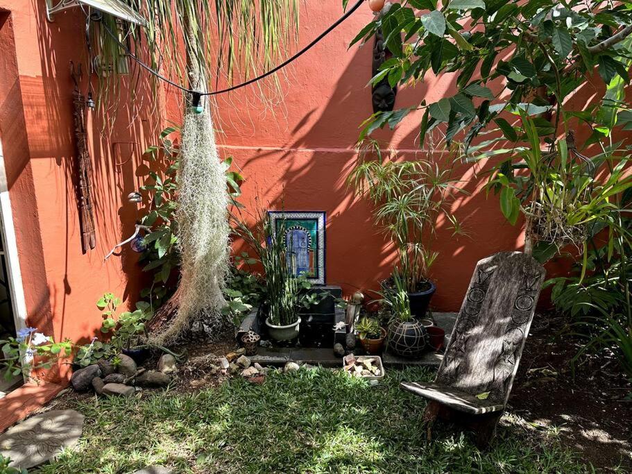 Photo 19