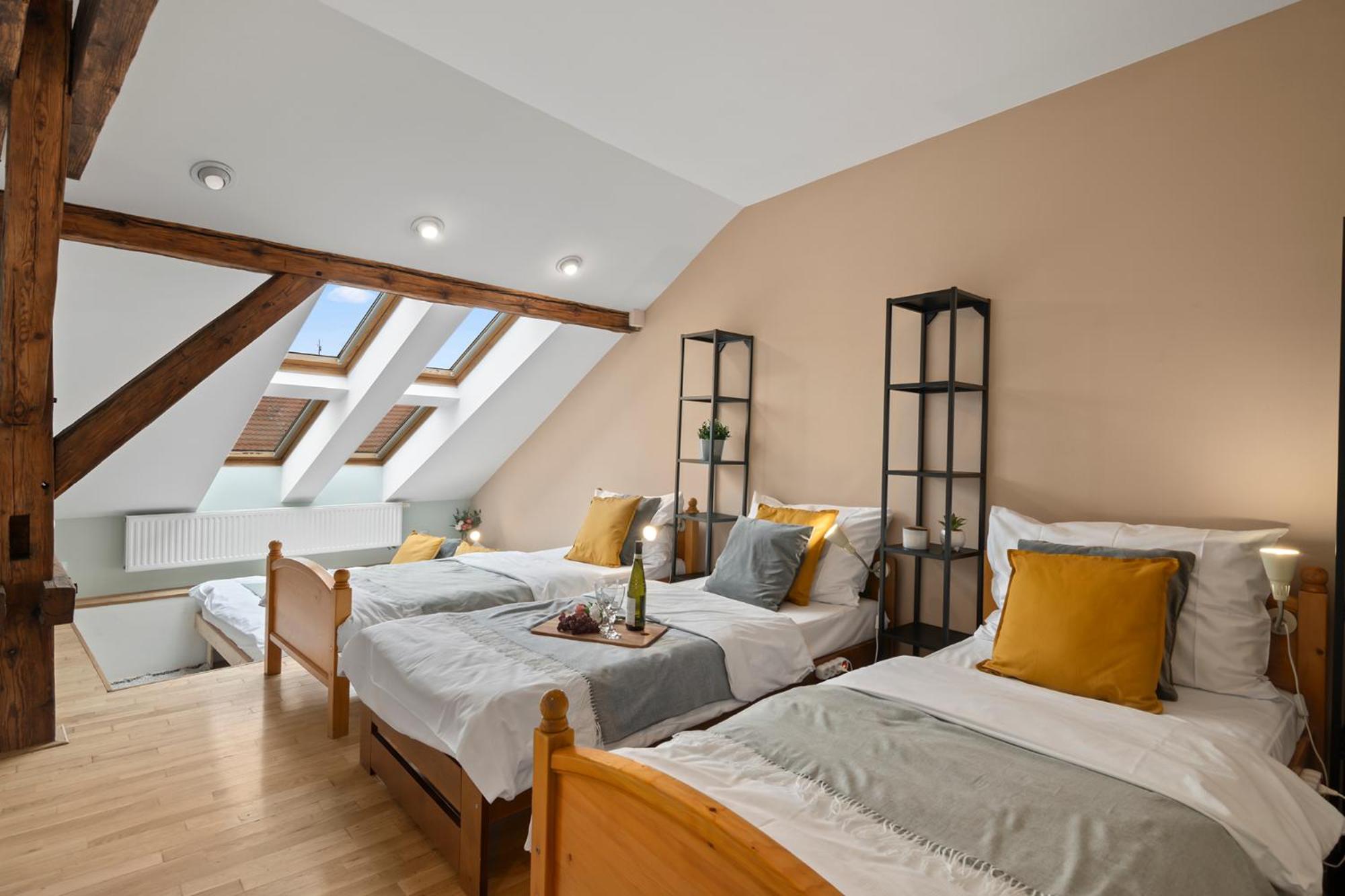 Vintage APTs in Heart of Prague by Michal&Friends
