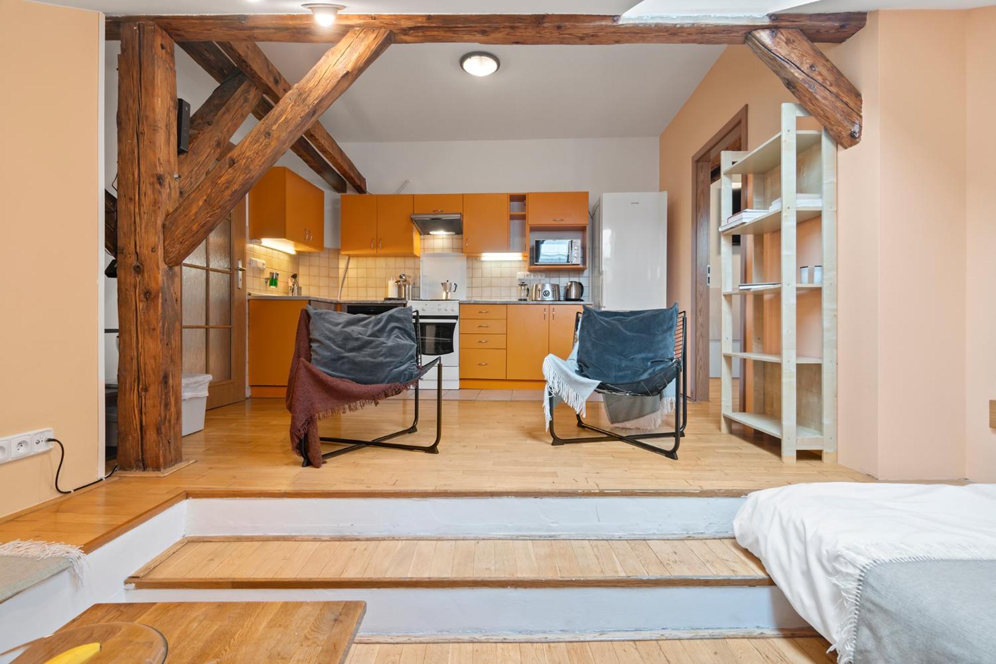 Vintage APTs in Heart of Prague by Michal&Friends