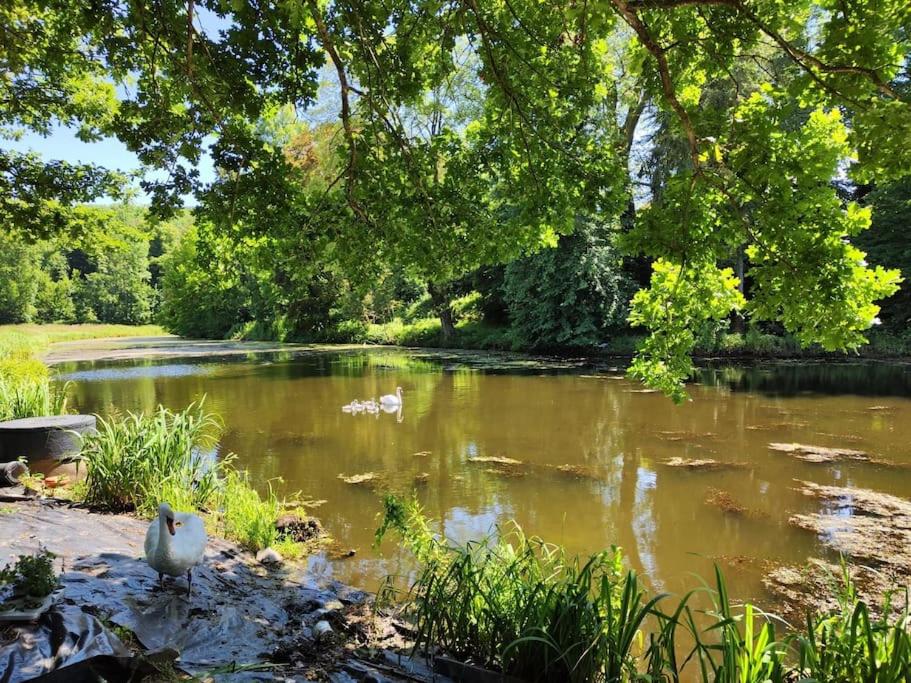 WohlfühlOASE Schloss Rimburg, 8 Personen, Whirlpool, See, Privat 190 qm