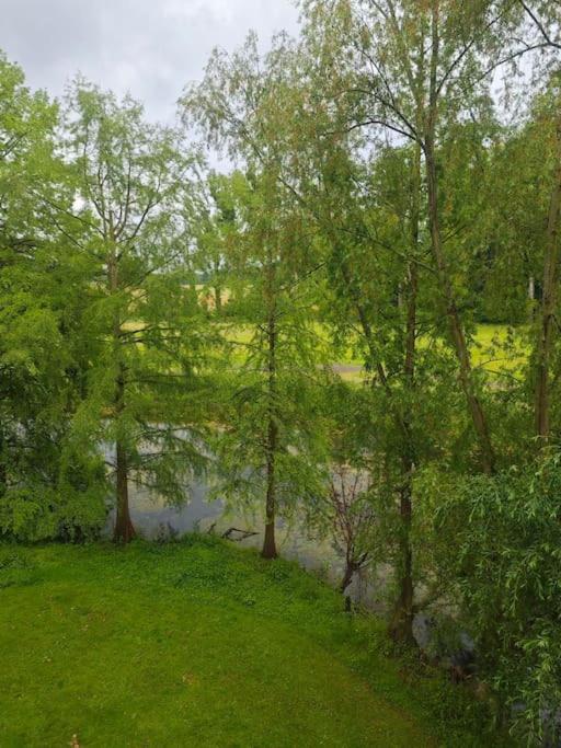 WohlfühlOASE Schloss Rimburg, 8 Personen, Whirlpool, See, Privat 190 qm, photo 28