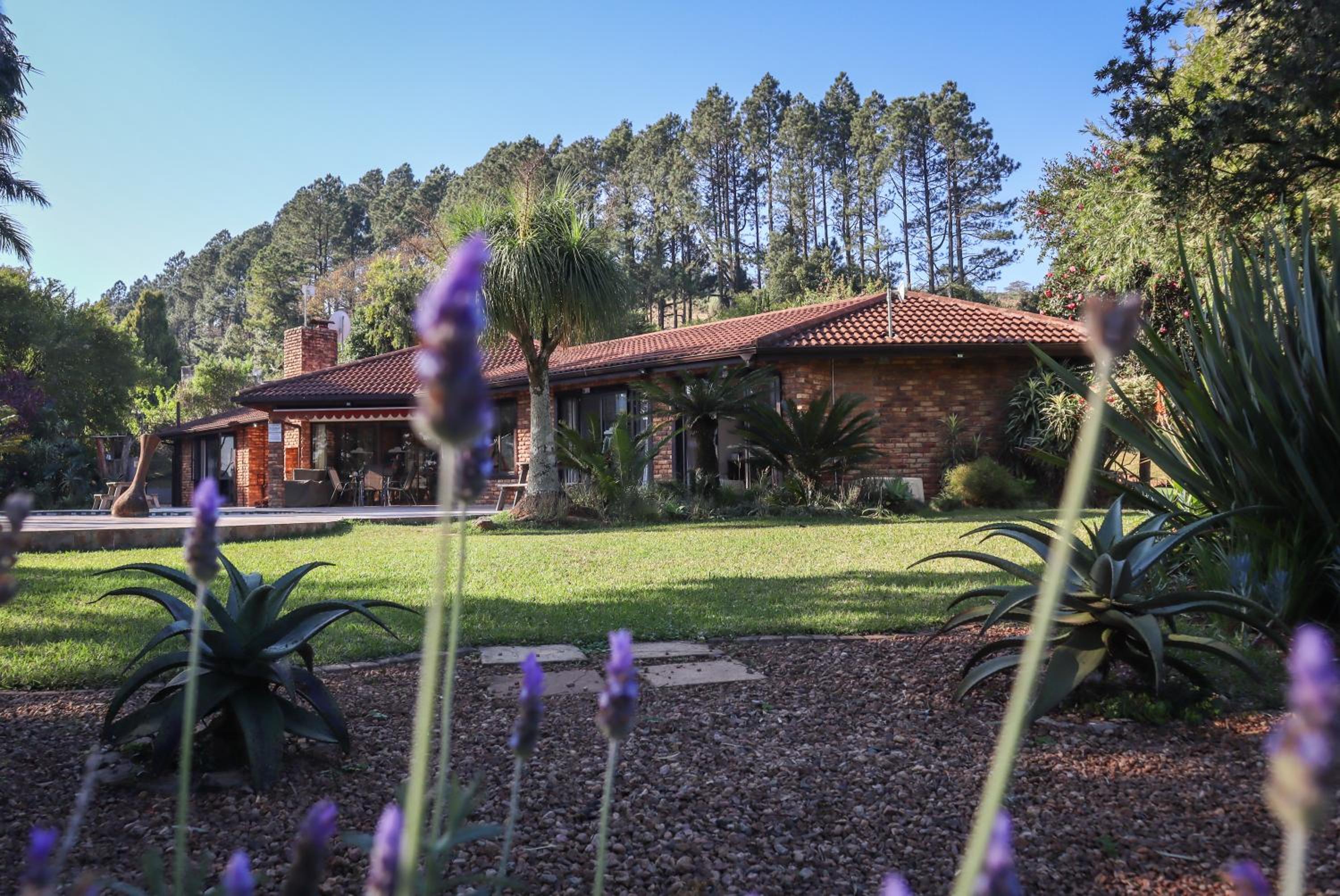 Matusadona Guest Lodge