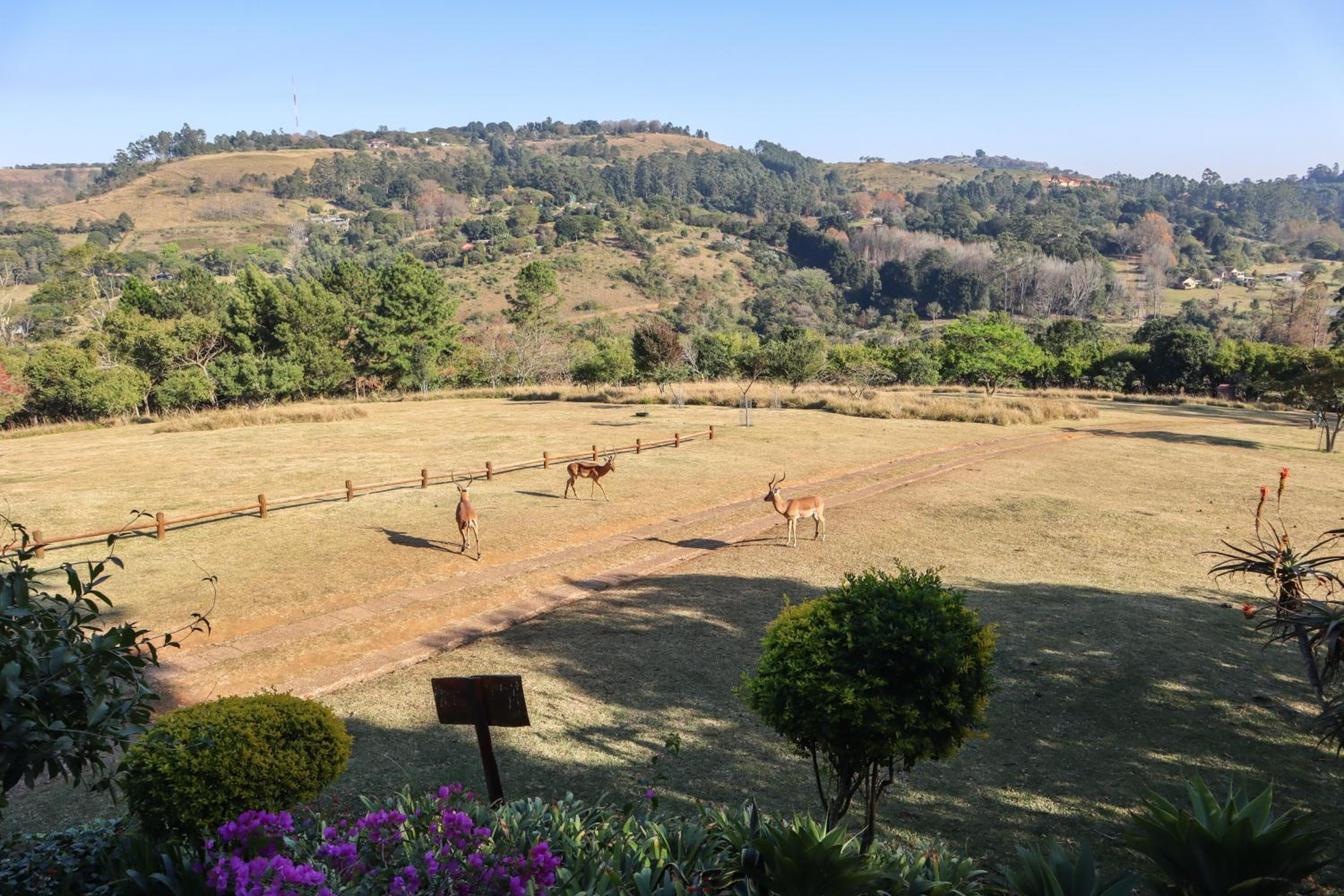 Matusadona Guest Lodge