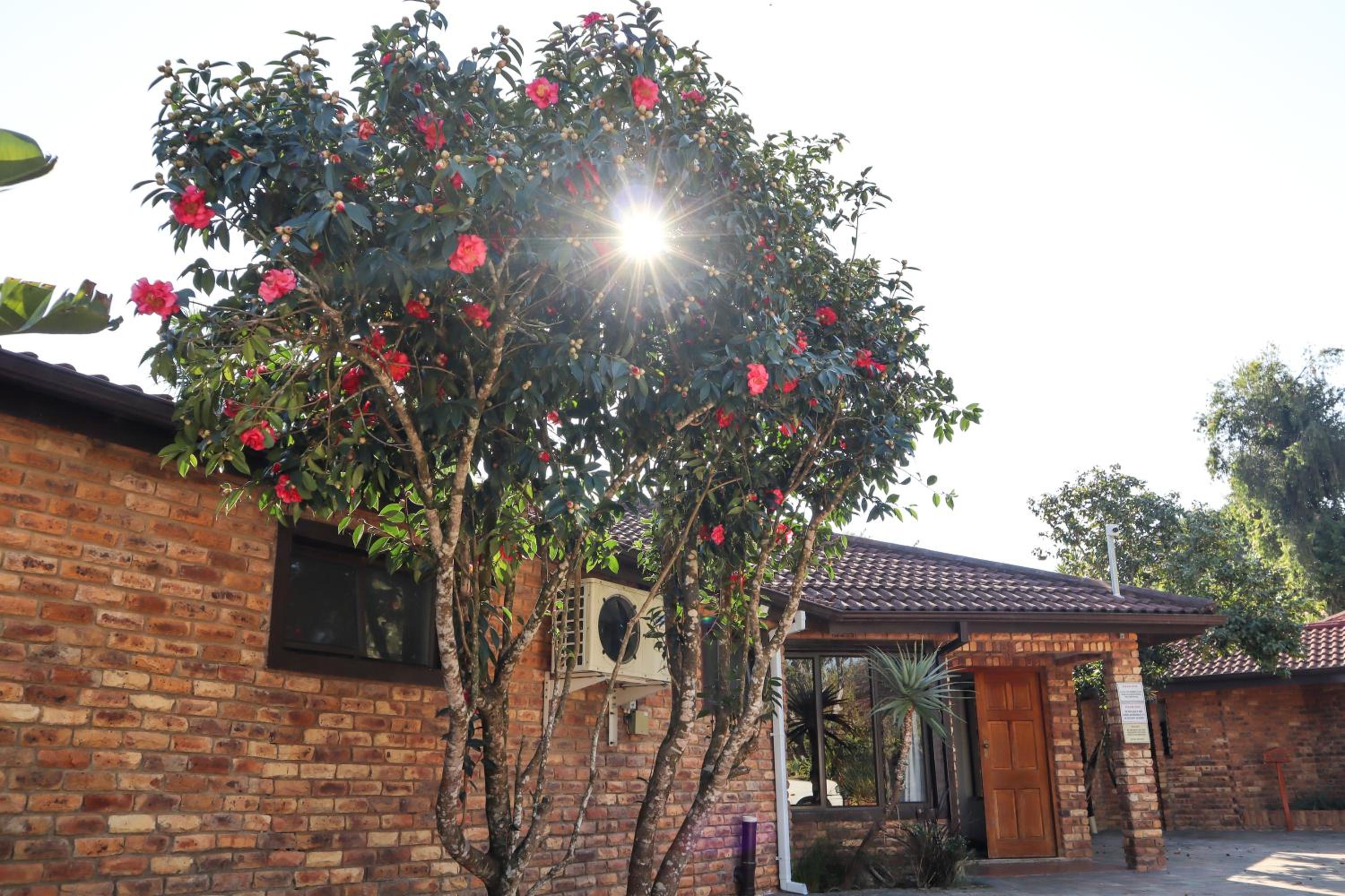 Matusadona Guest Lodge