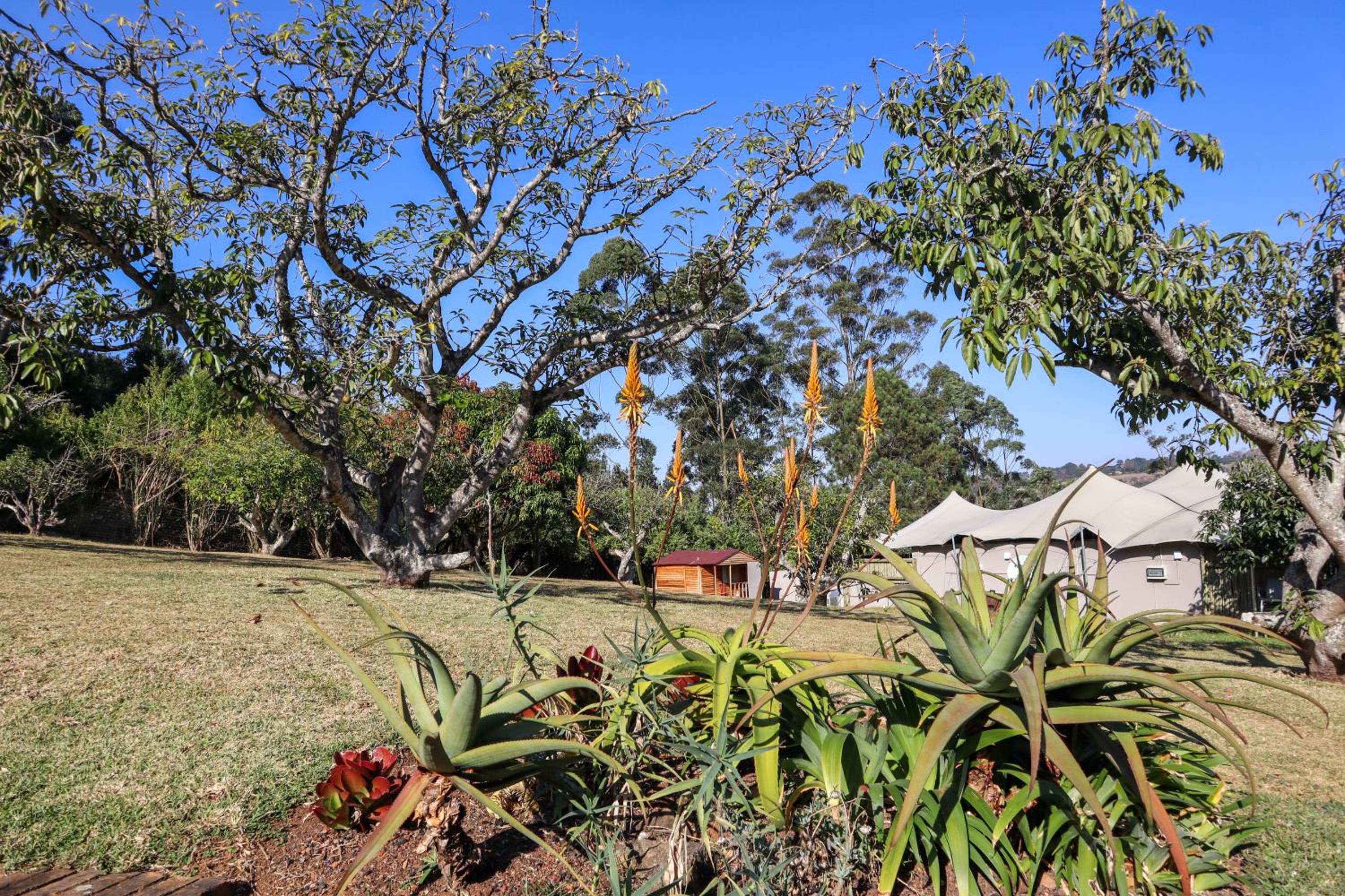 Matusadona Guest Lodge