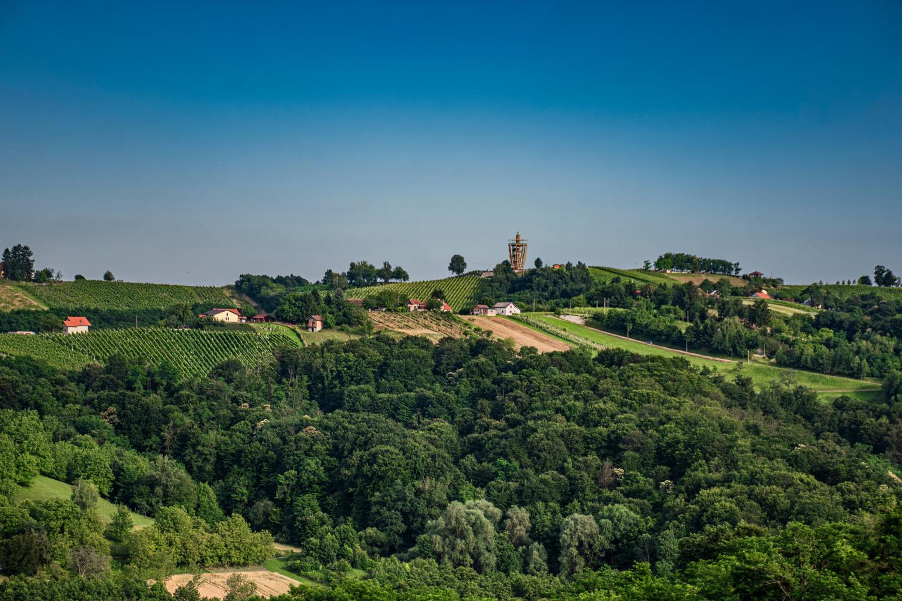 Wellness Počitniška hiša Manja
