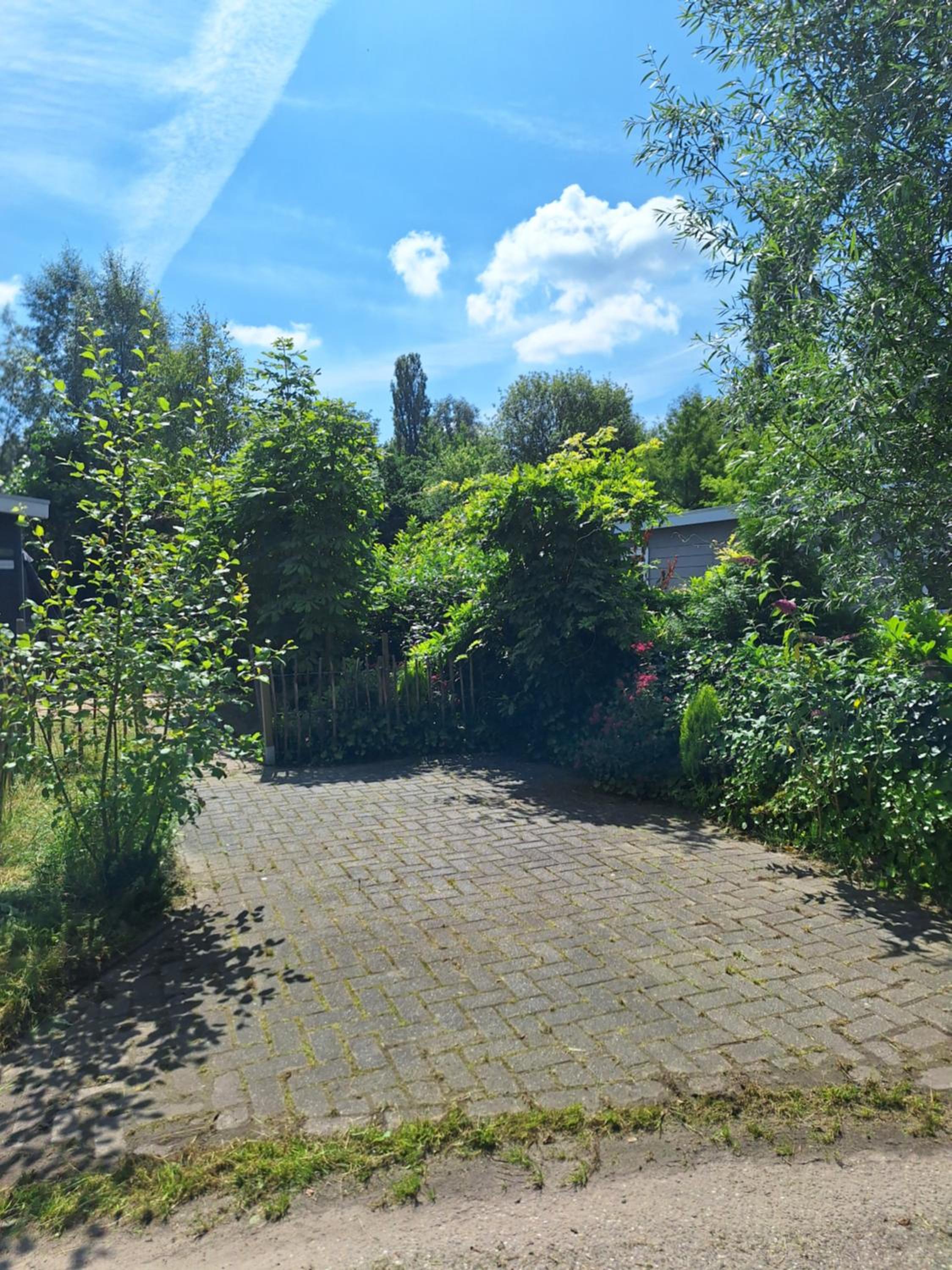 Photo 30