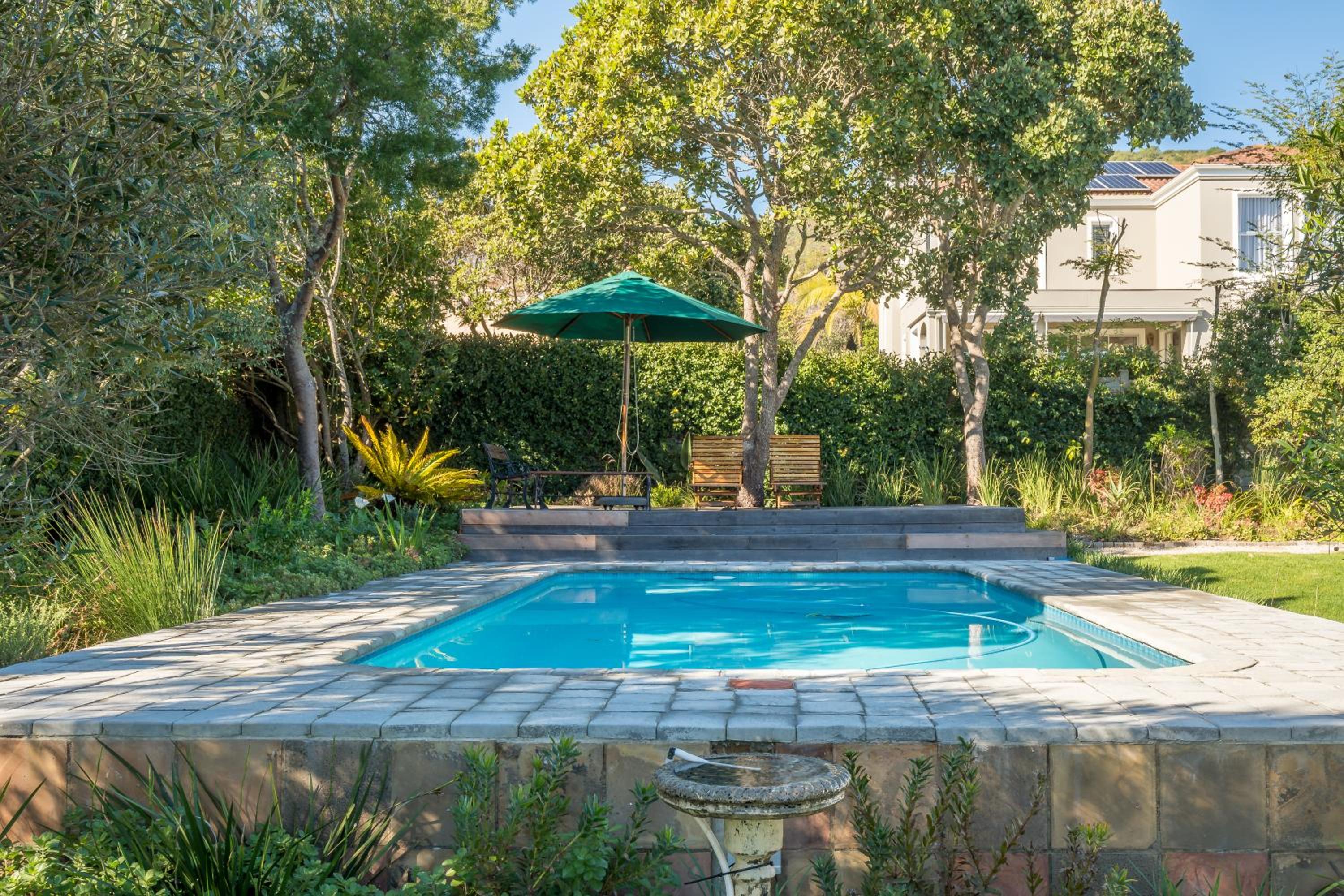 Poolside Paradise