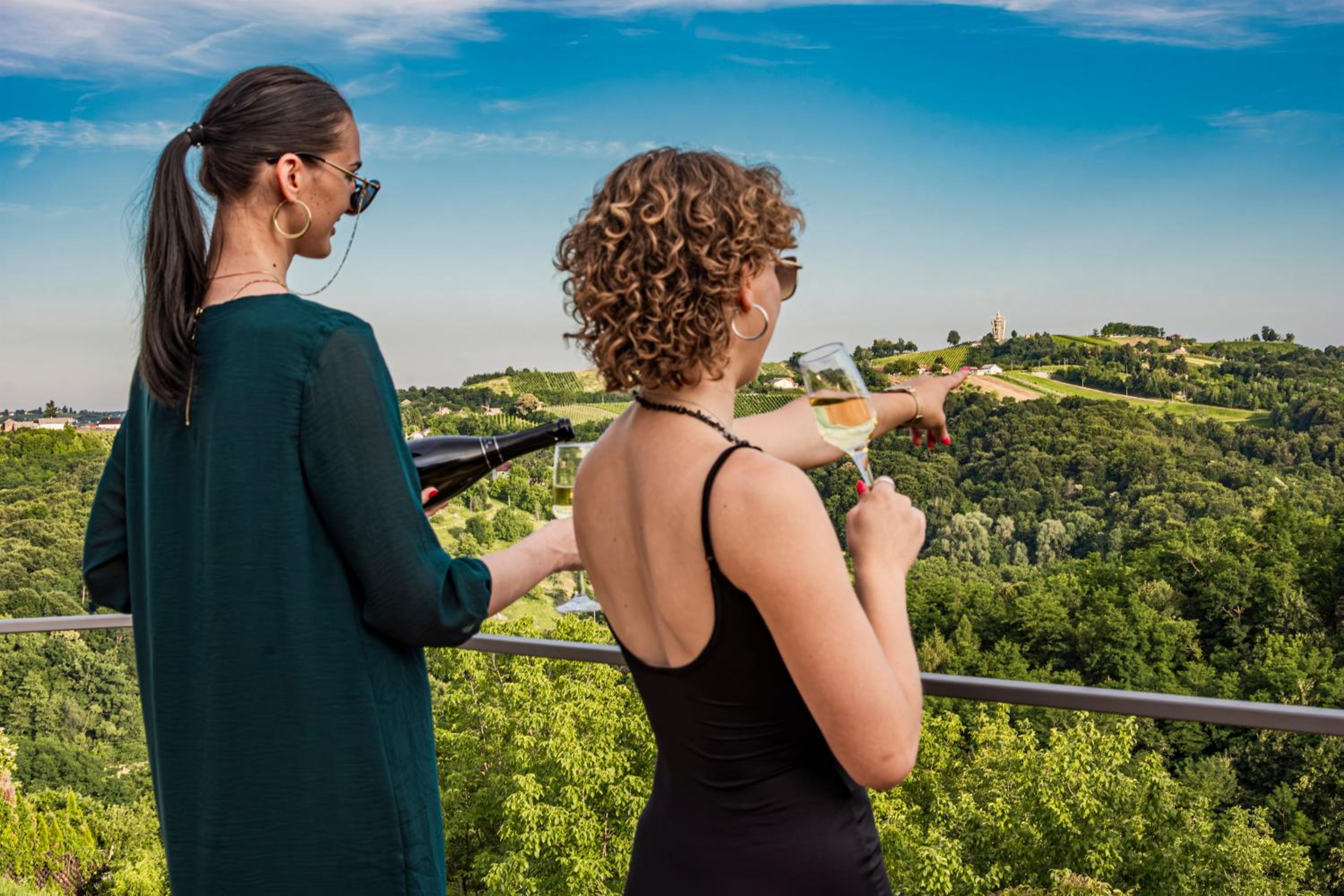 Wellness Počitniška hiša Manja