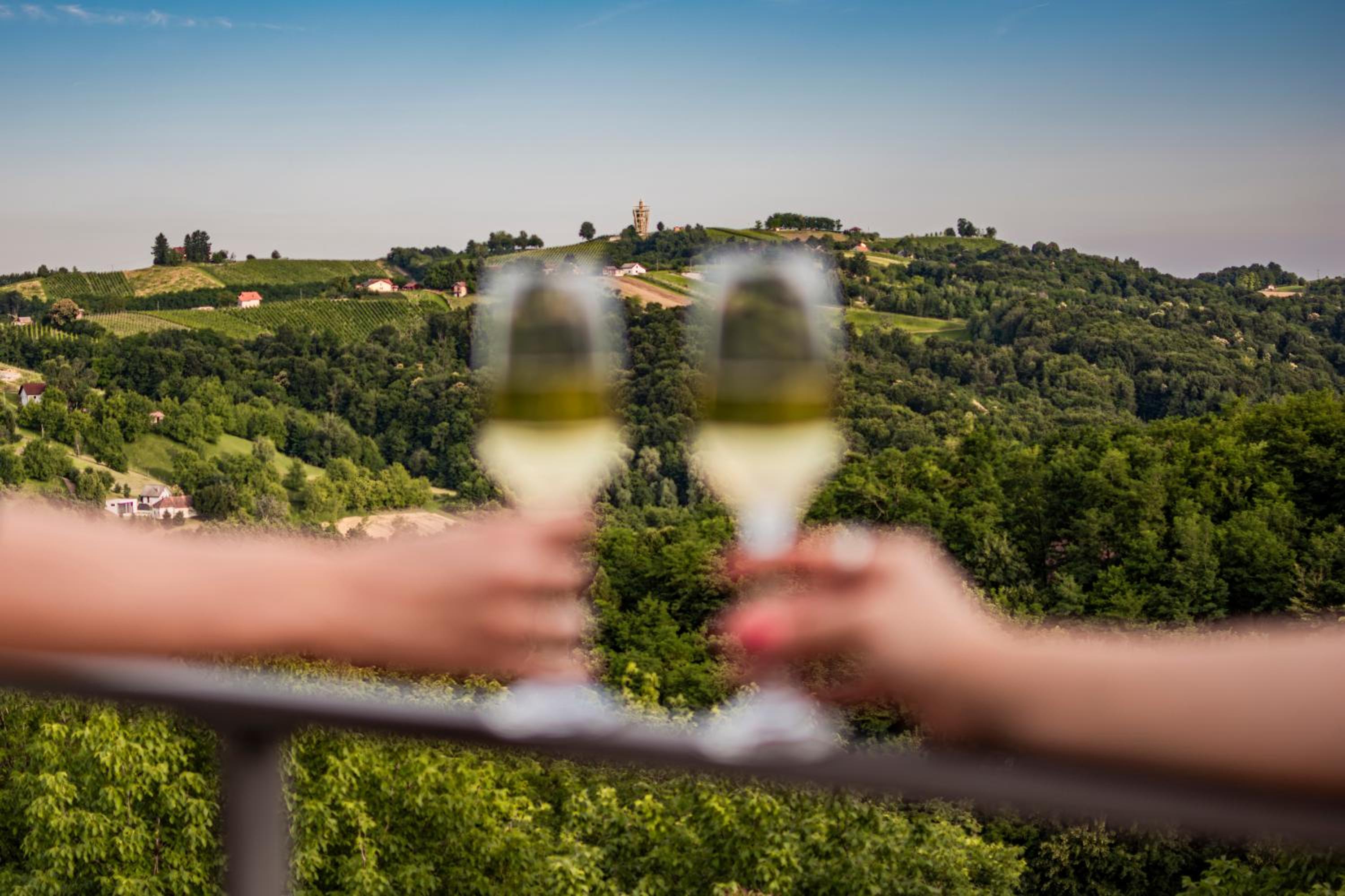 Wellness Počitniška hiša Manja