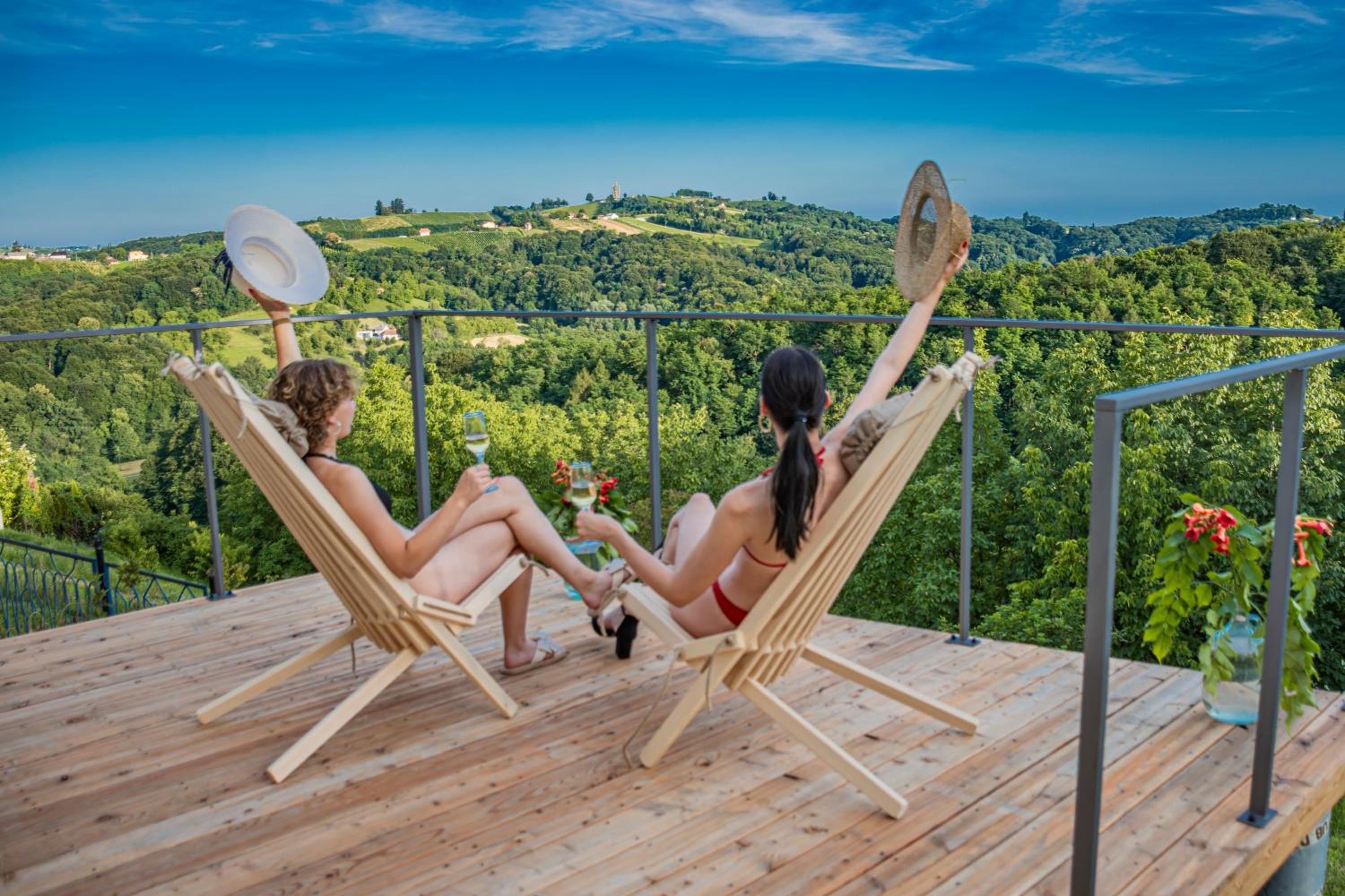 Wellness Počitniška hiša Manja