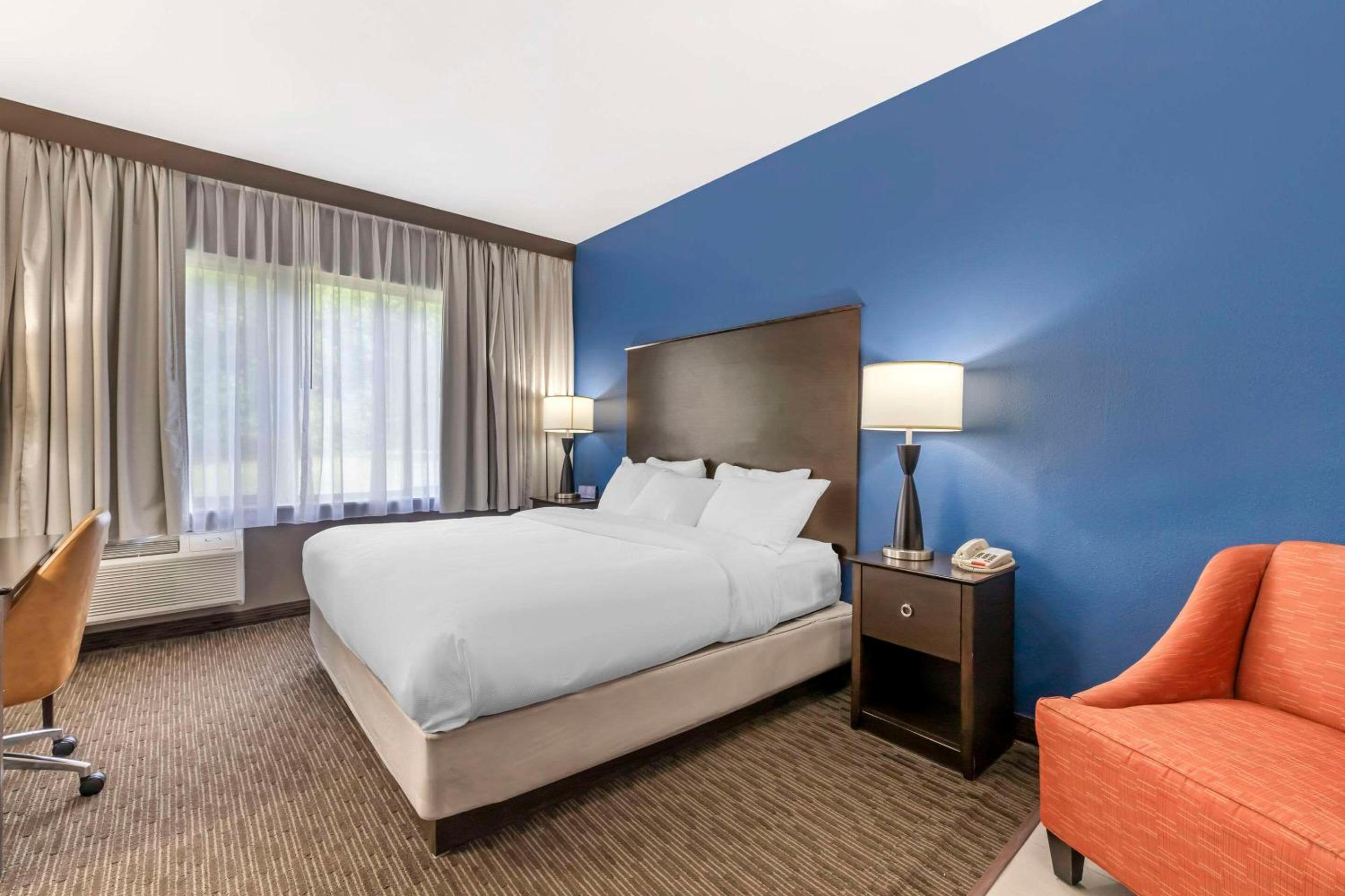 Comfort Inn  Suites - Property Image 6