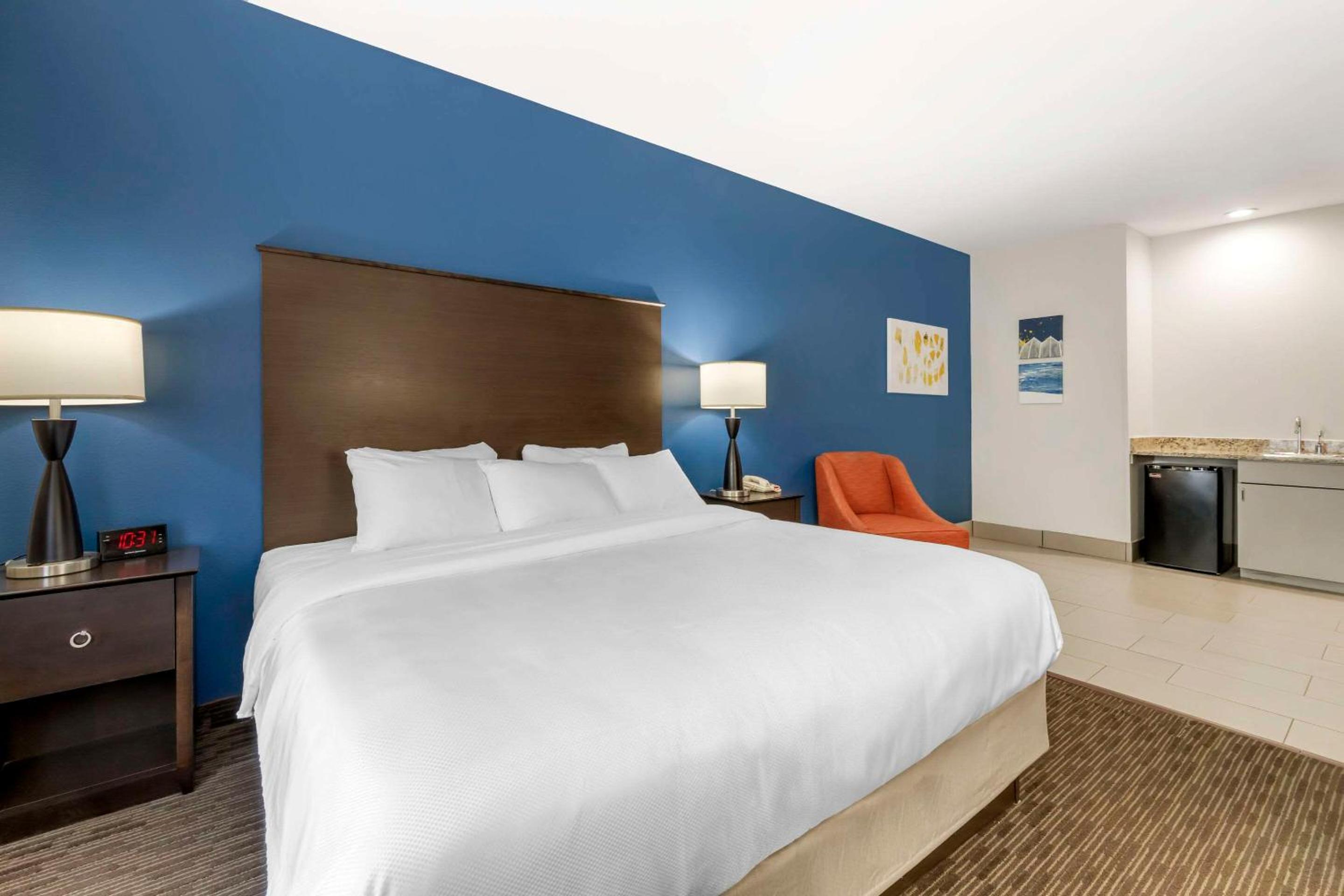 Comfort Inn  Suites - Property Image 7