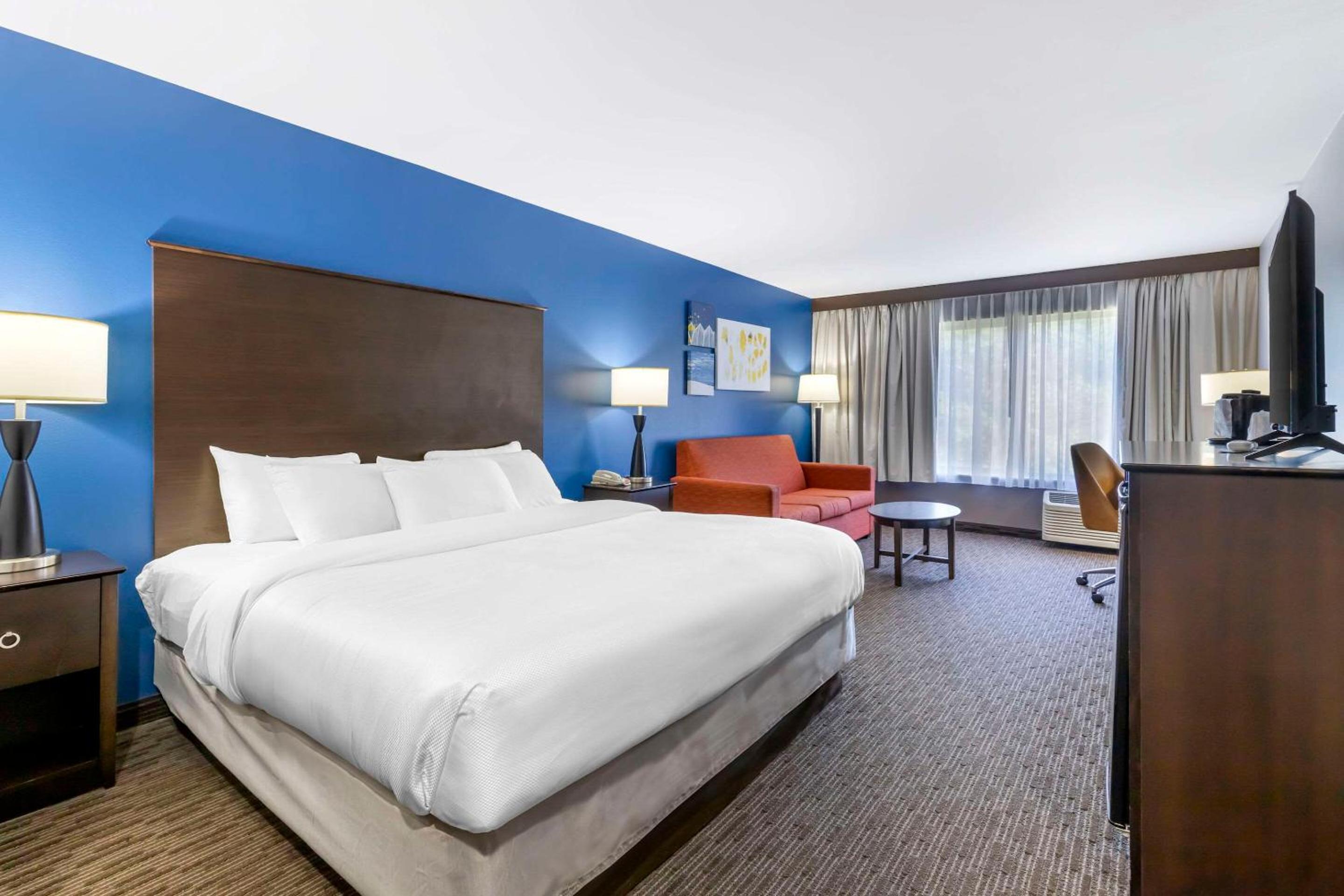 Comfort Inn  Suites - Property Image 10