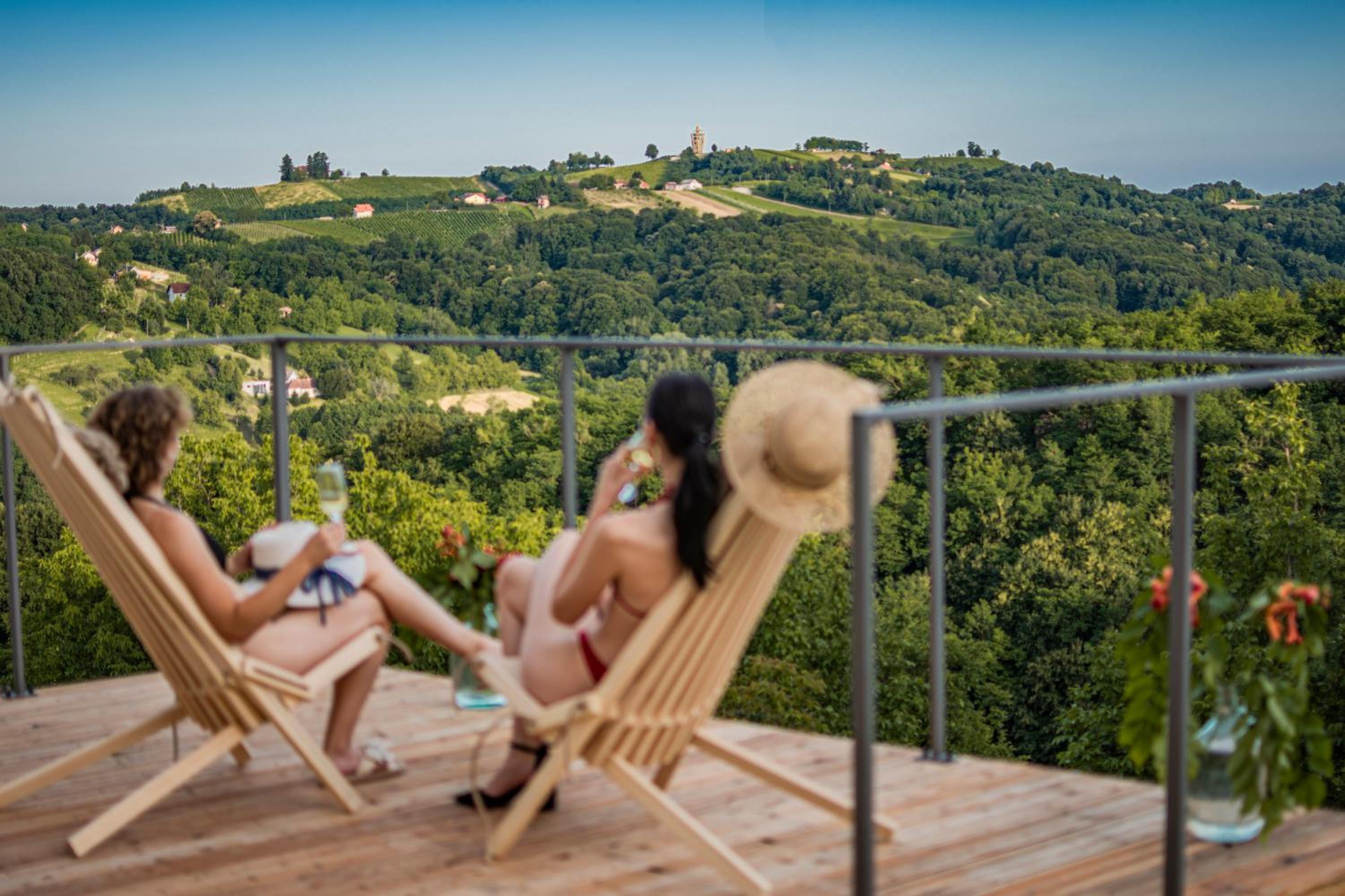 Wellness Počitniška hiša Manja