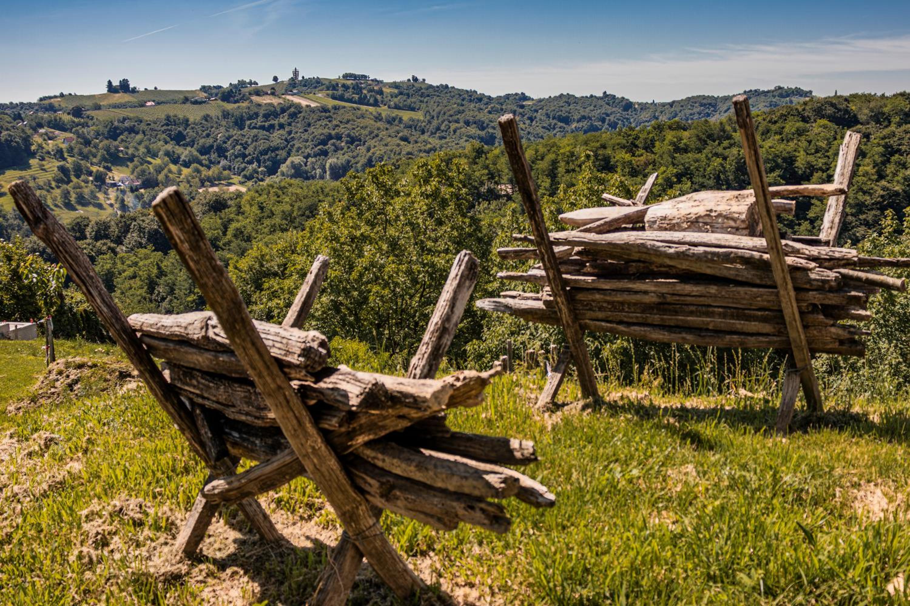 Wellness Počitniška hiša Manja