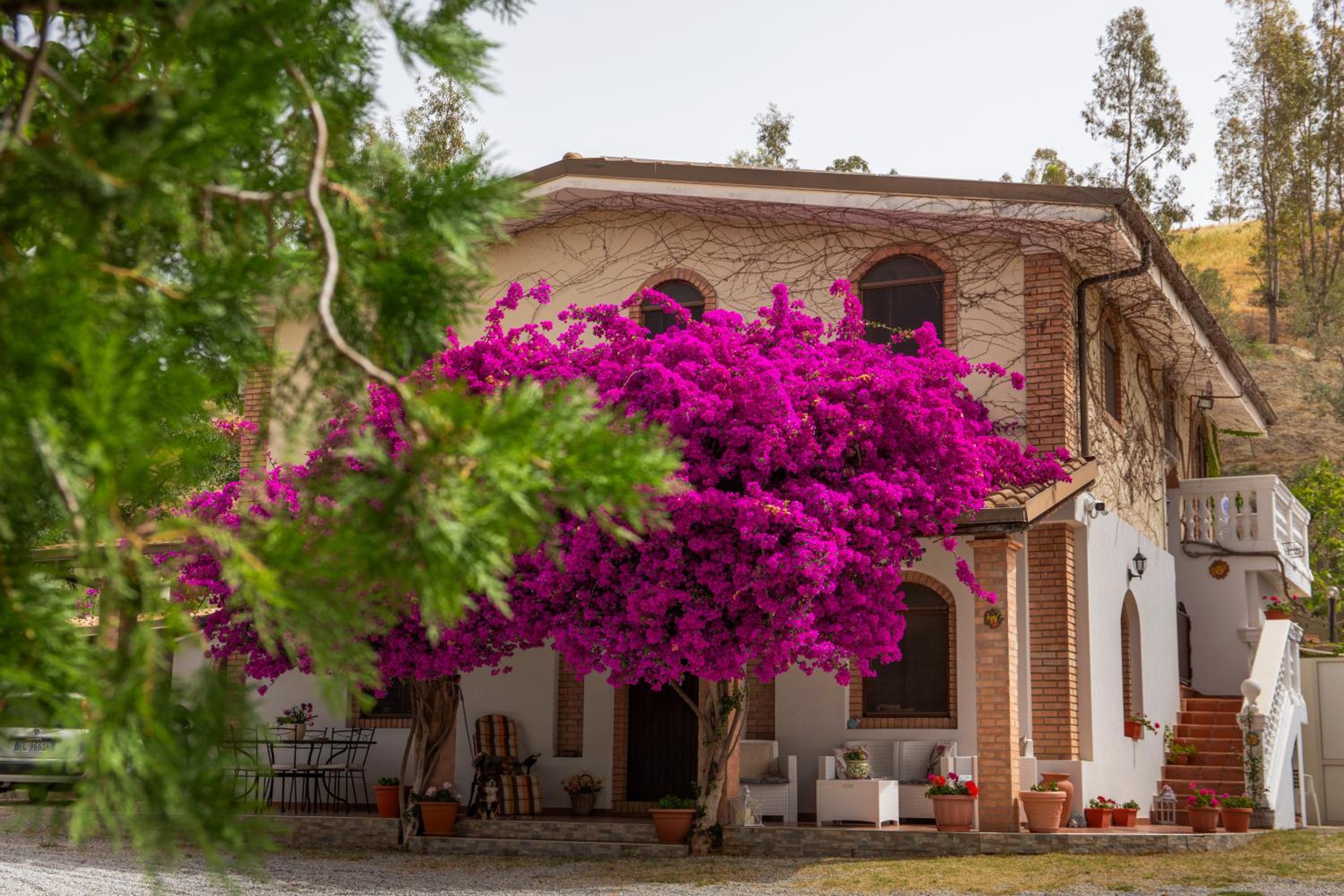 Tenuta Severino