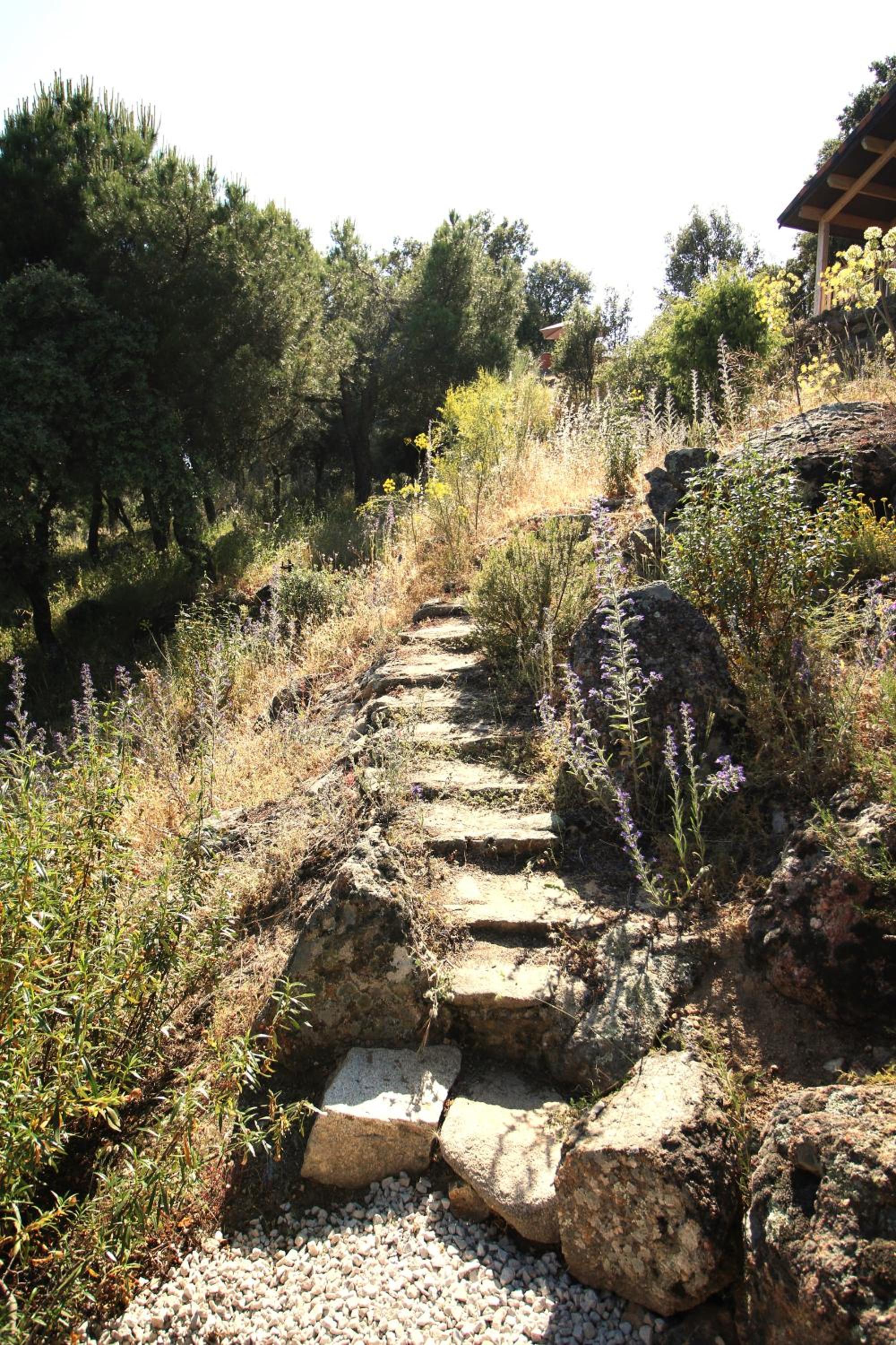 Bella Vista