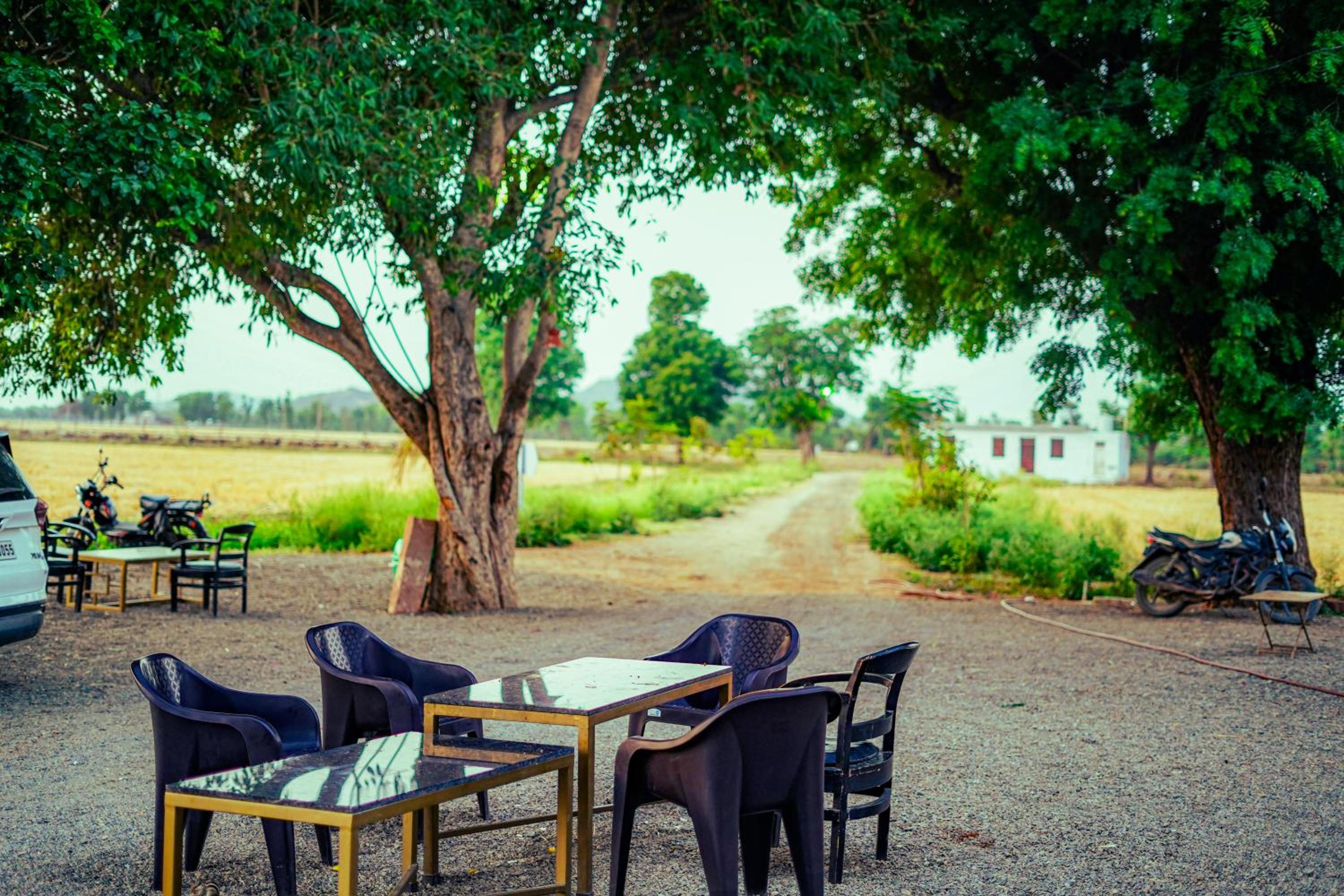 Jawai Sanderao Farms