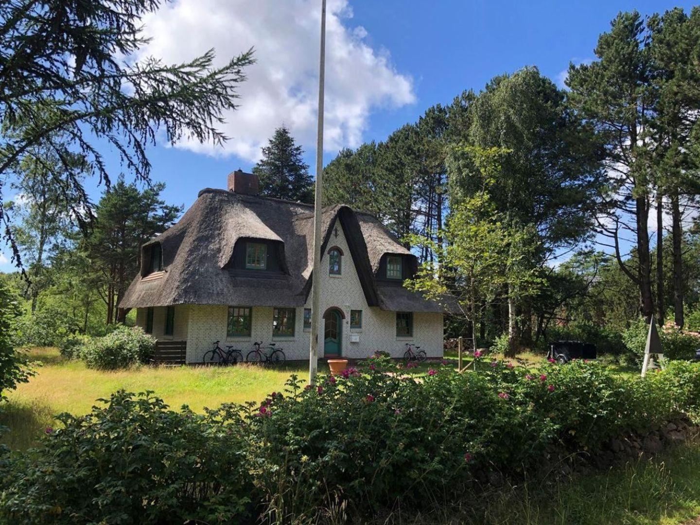 Haus-Seemoewe