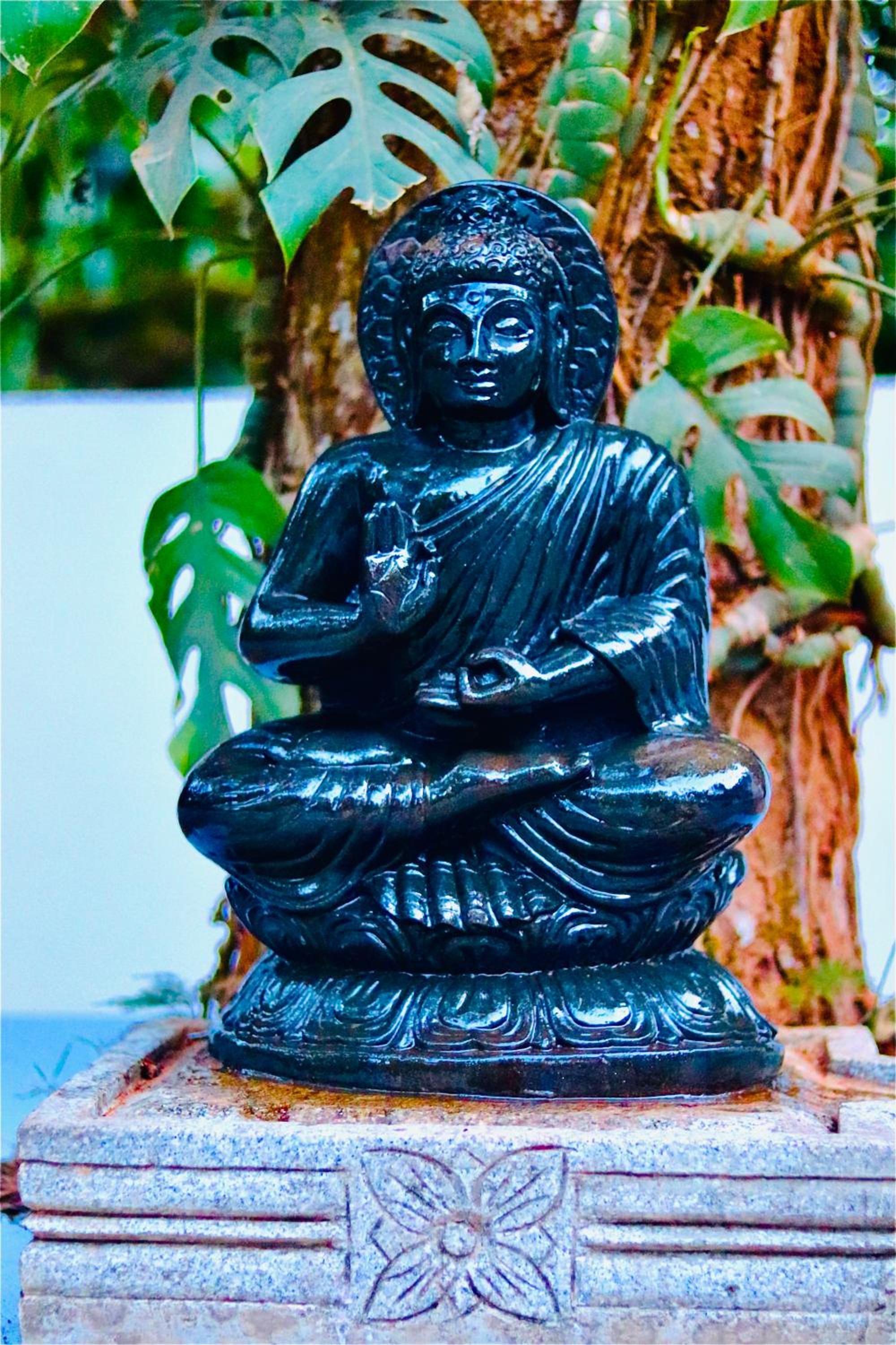 Nirvana Homestay