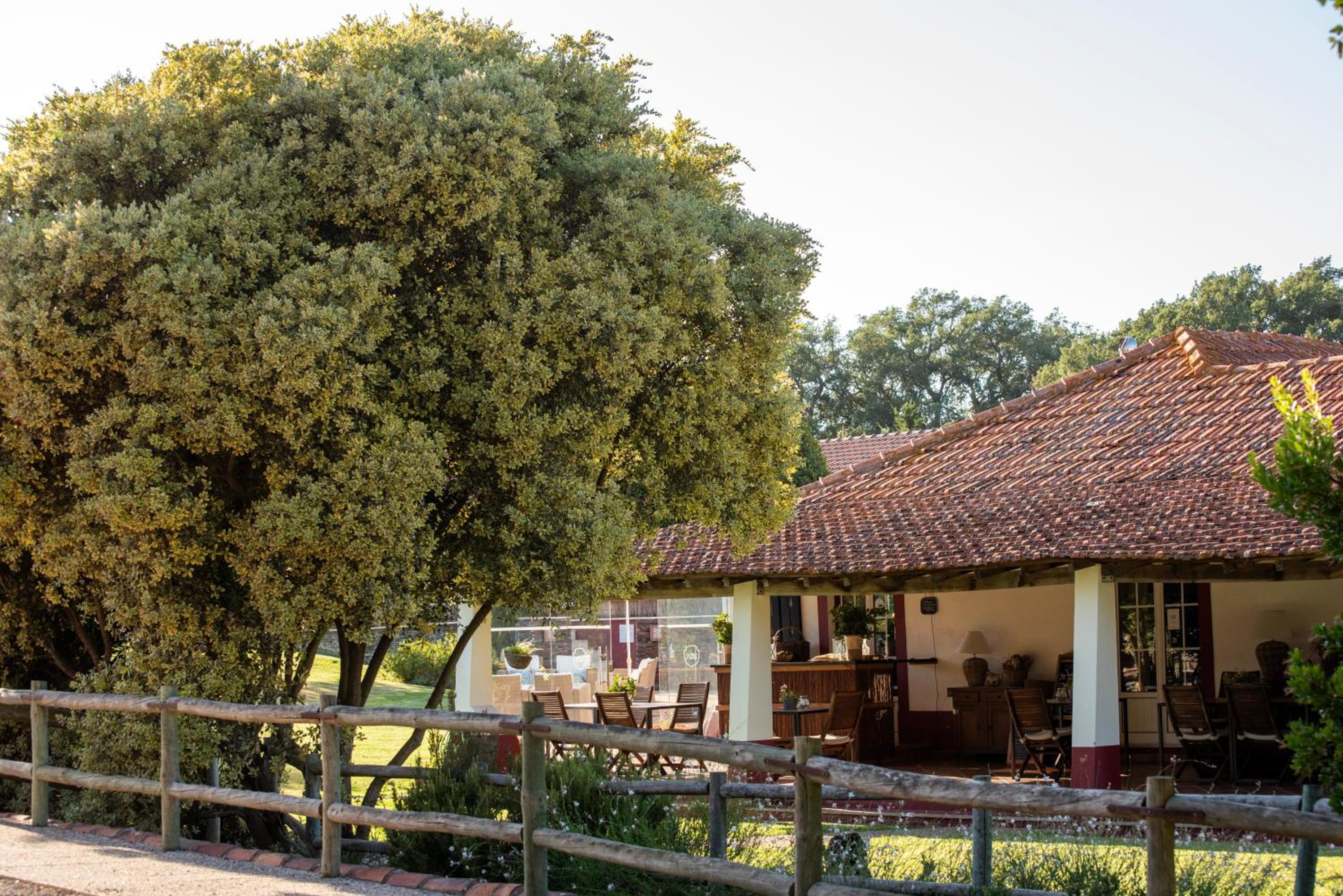 Hotel Herdade das Barradas da Serra - Image 1