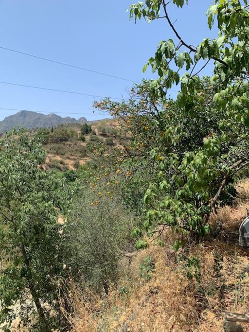 Las Golondrinas, authentic Cortijo in the hills of Almuñécar