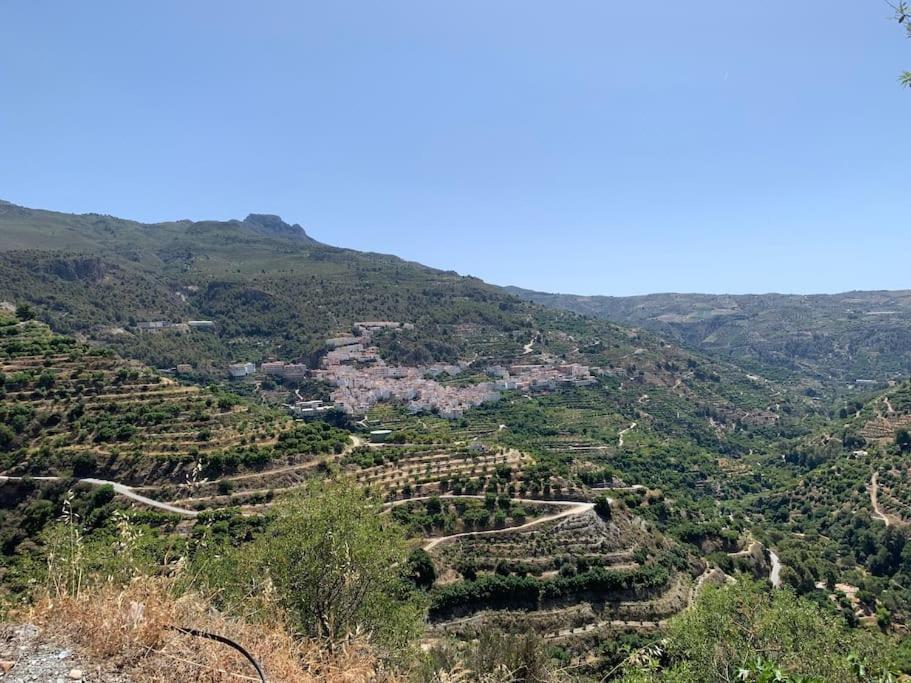 Las Golondrinas, authentic Cortijo in the hills of Almuñécar