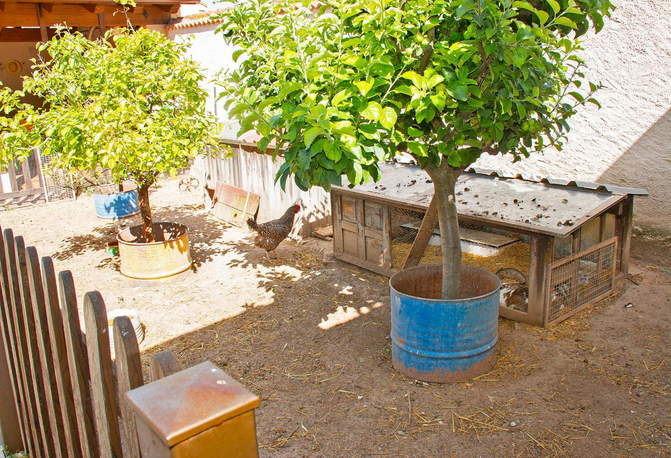 Casa Mariano