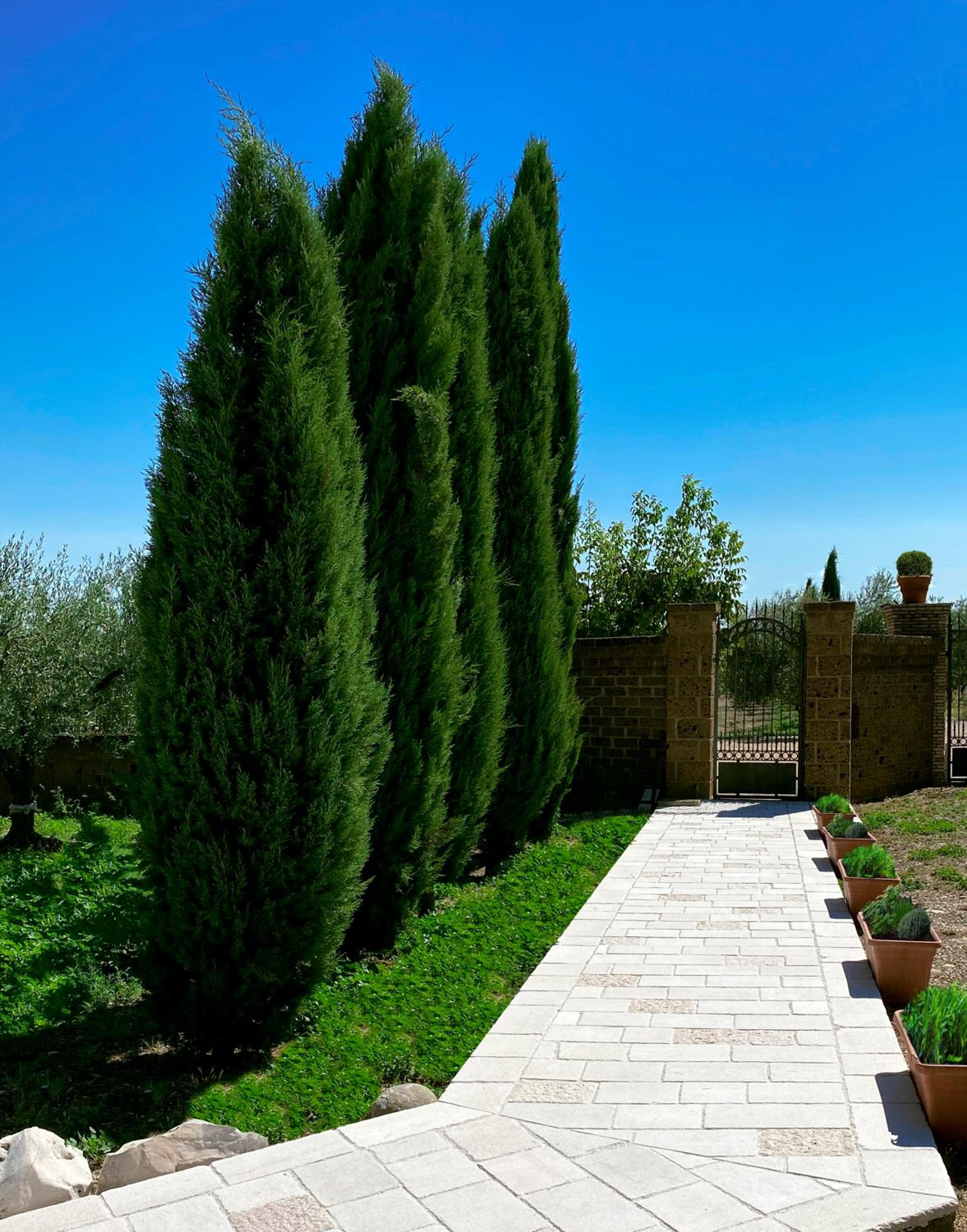 Le Tre Lune B&B