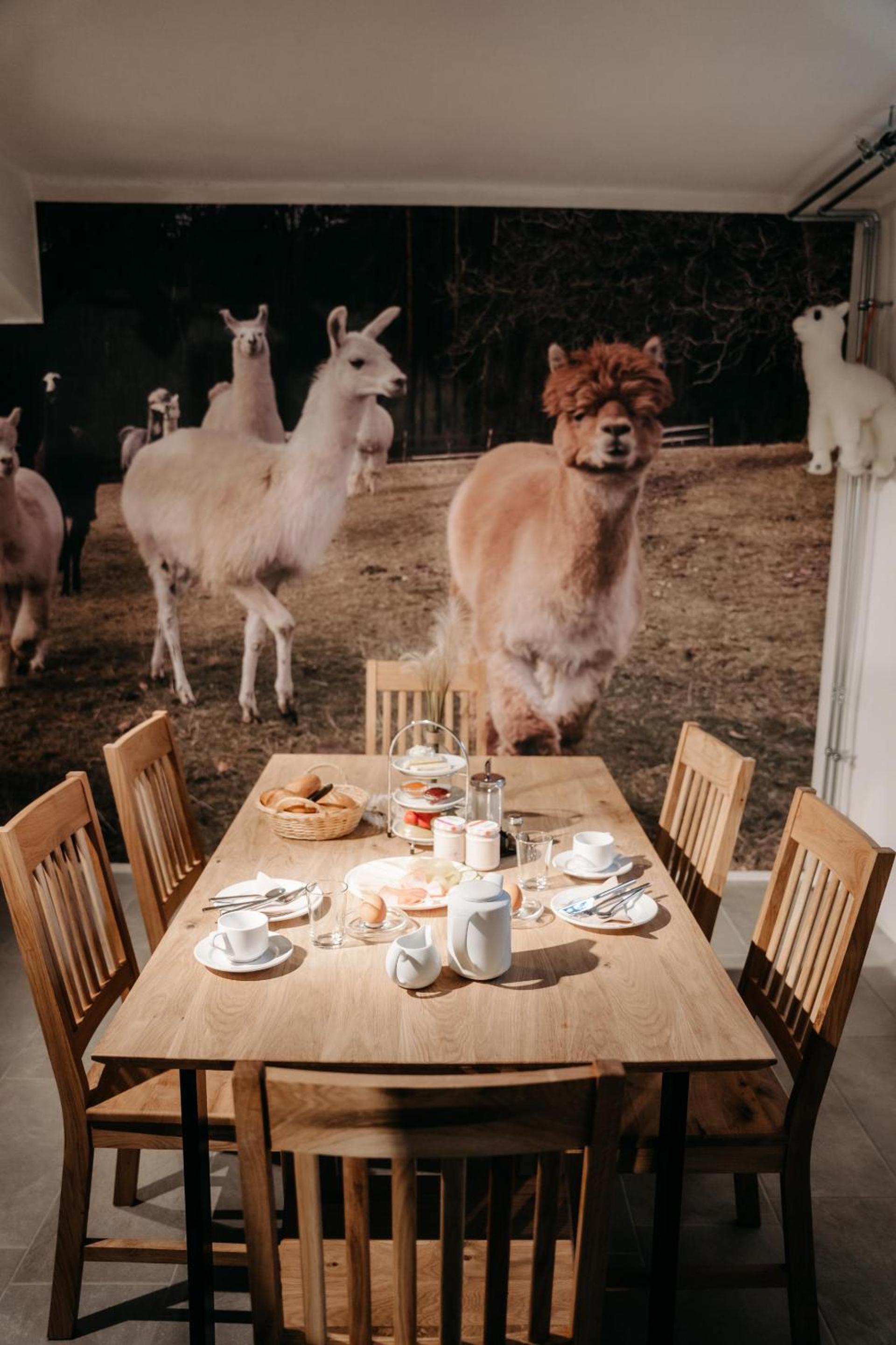 Alpakas, Lamas und Rentiere zum Grünen See