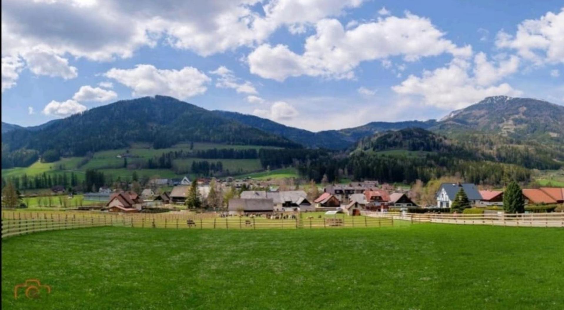 Alpakas, Lamas und Rentiere zum Grünen See