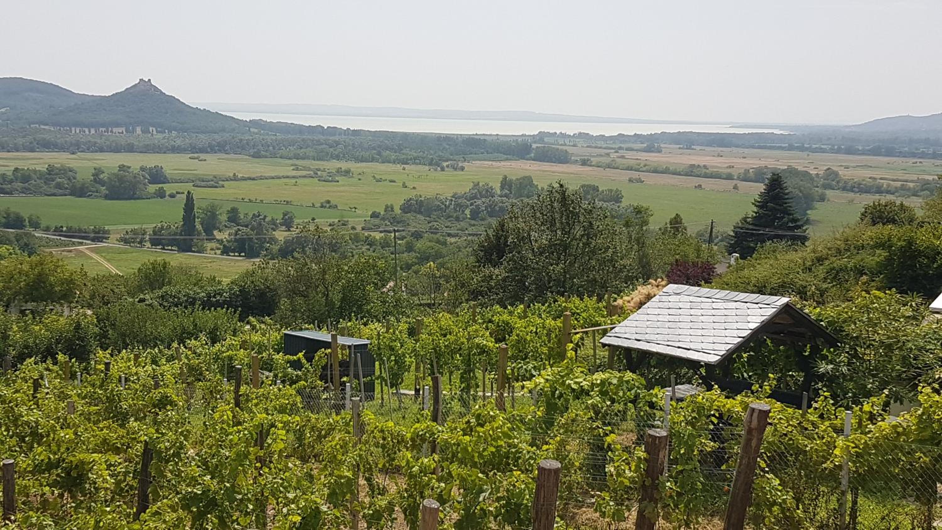Grand Cru 4 Vendégház view 2
