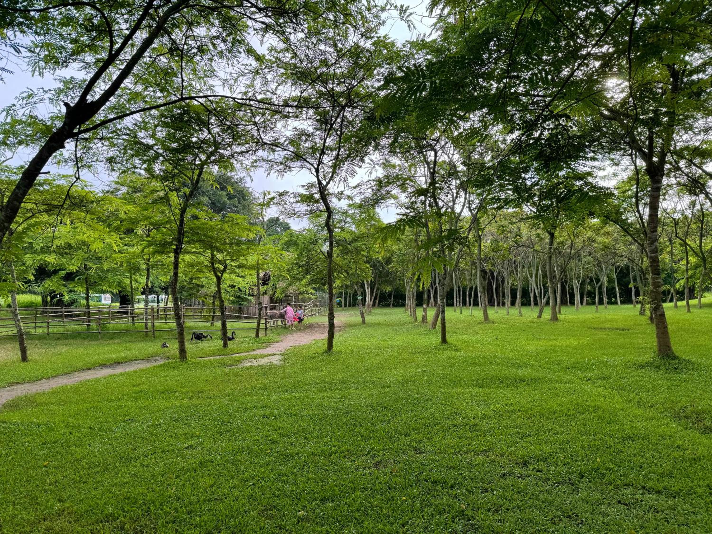 Rose homestay Ecopark