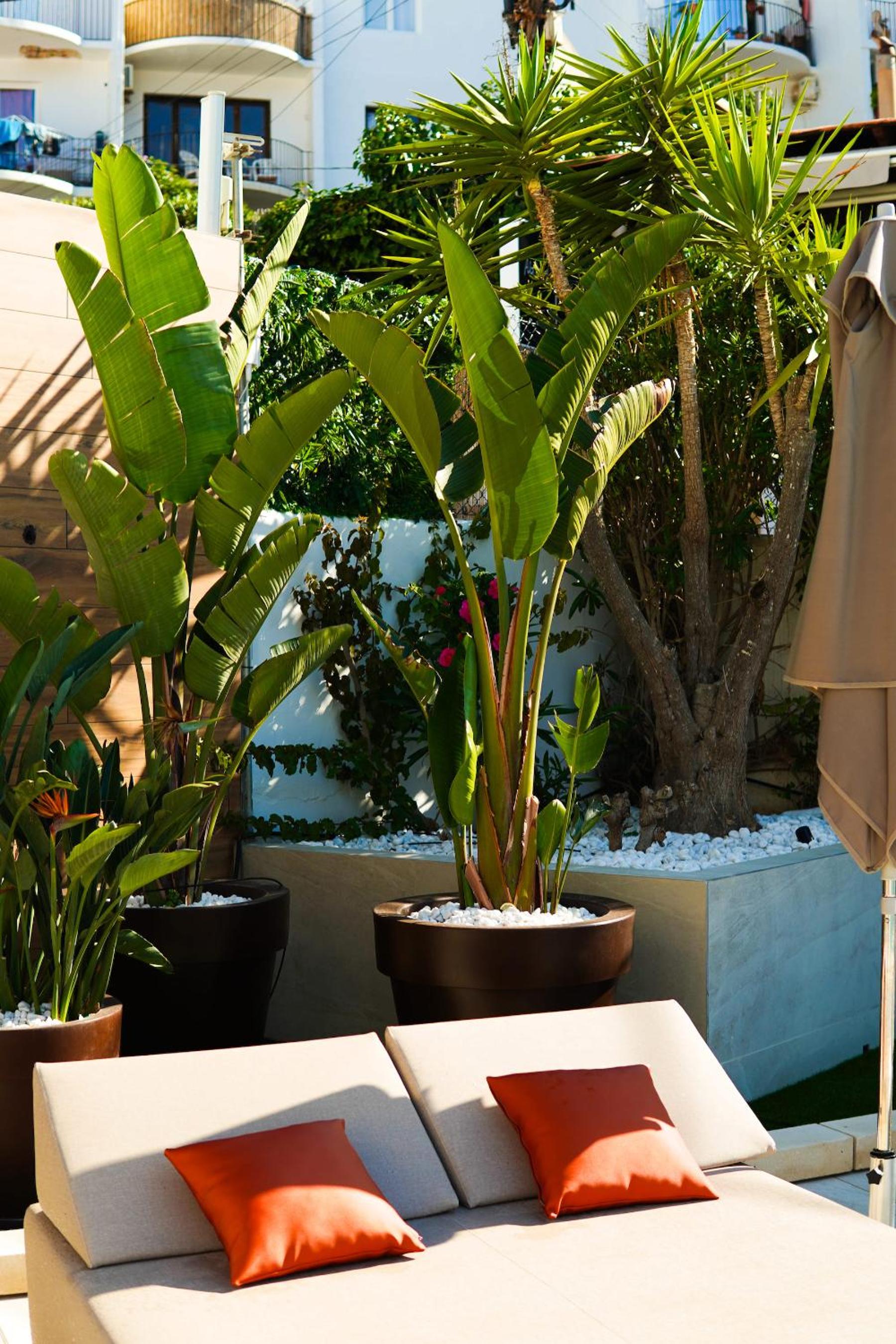 Oasis Sa Tanca Apartments by Typic Hotels view 5