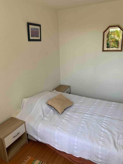 Apartman Tena sa vrtom i pogledom na more view 4
