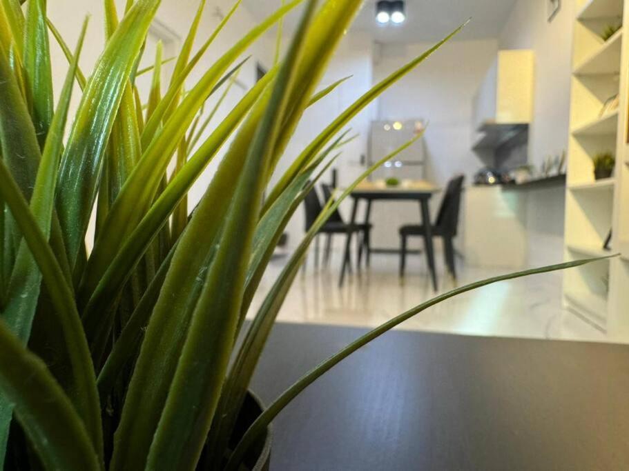 Cubic Botanical Bangsar South Kuala Lumpur