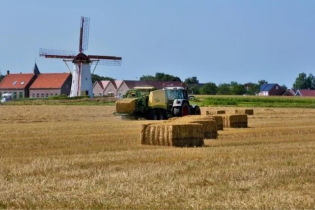 Mooie studio aan de Zeeuwse kust