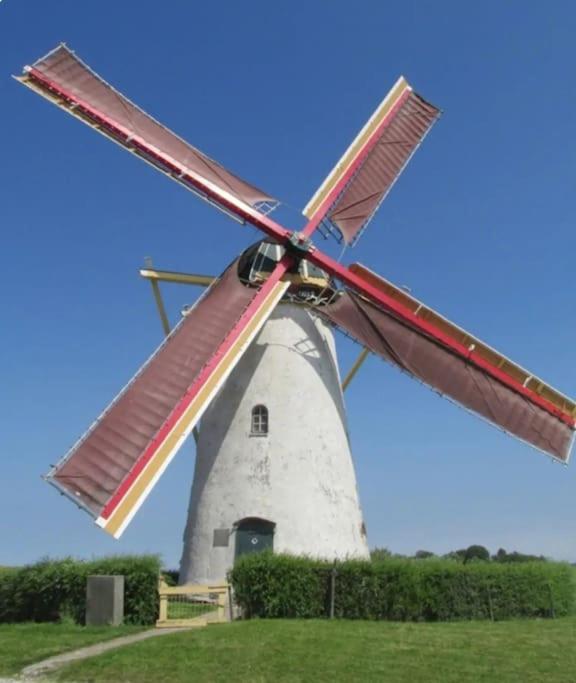Mooie studio aan de Zeeuwse kust