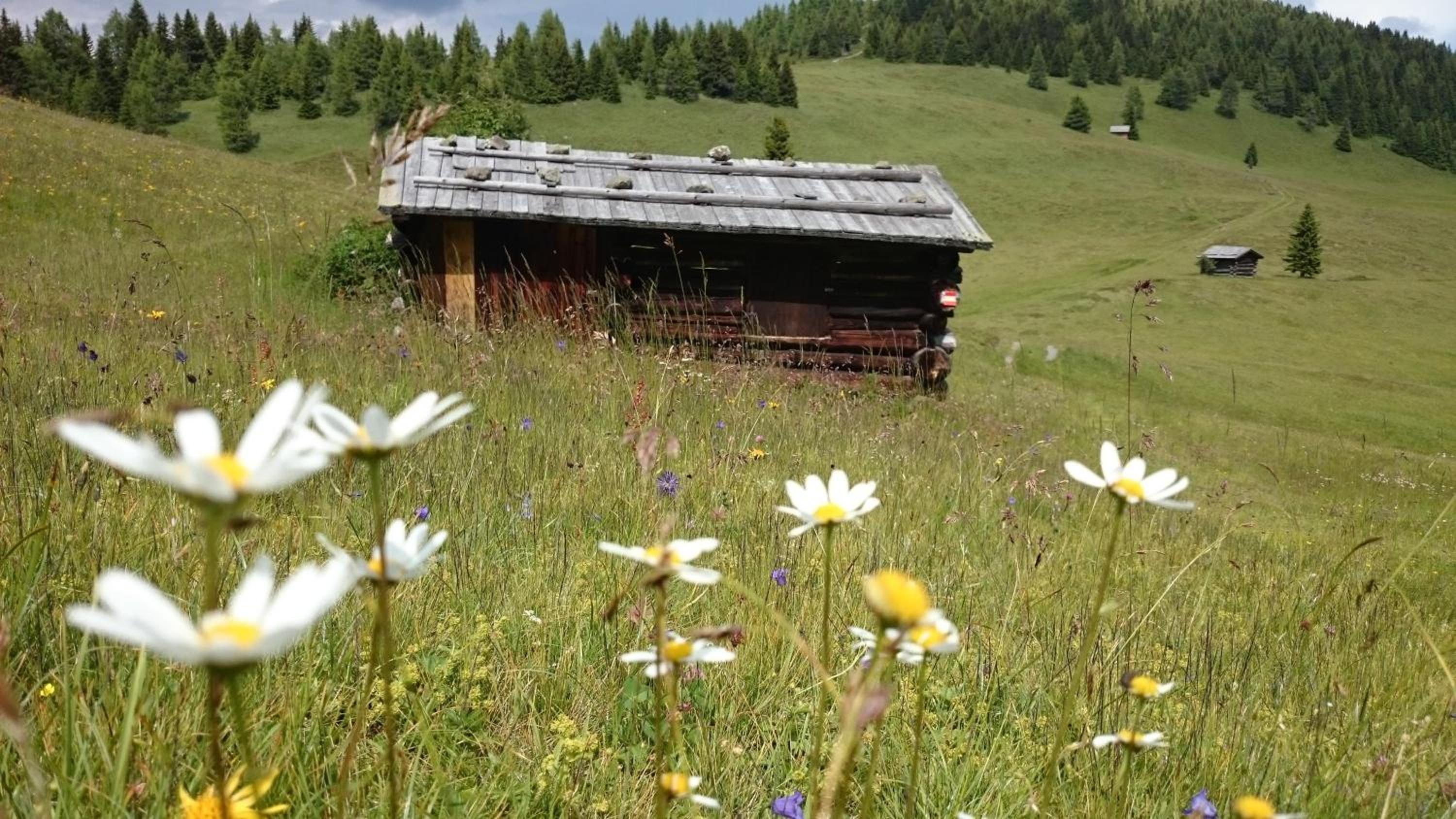 Haus Bergland