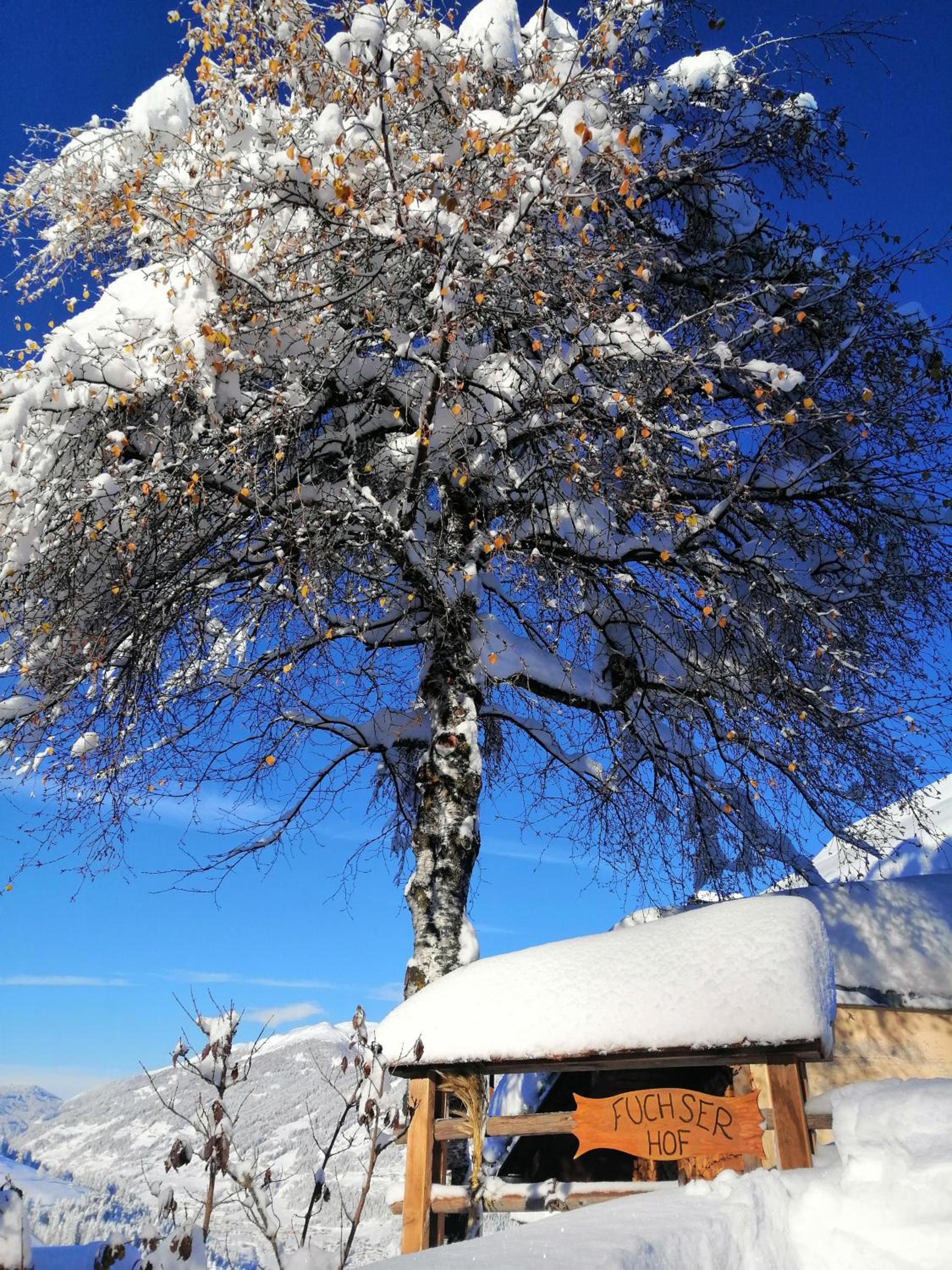 Haus Bergland