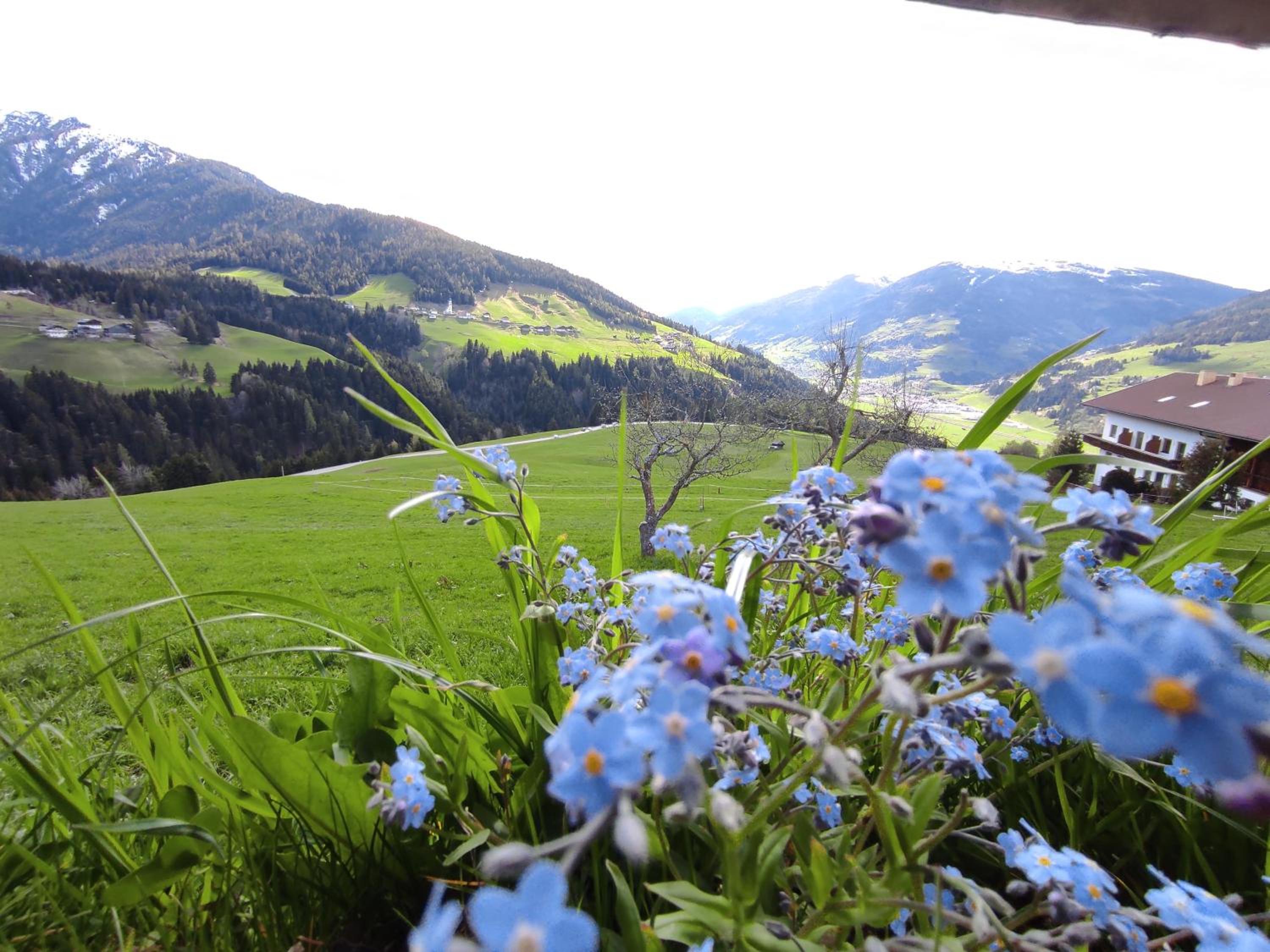 Haus Bergland