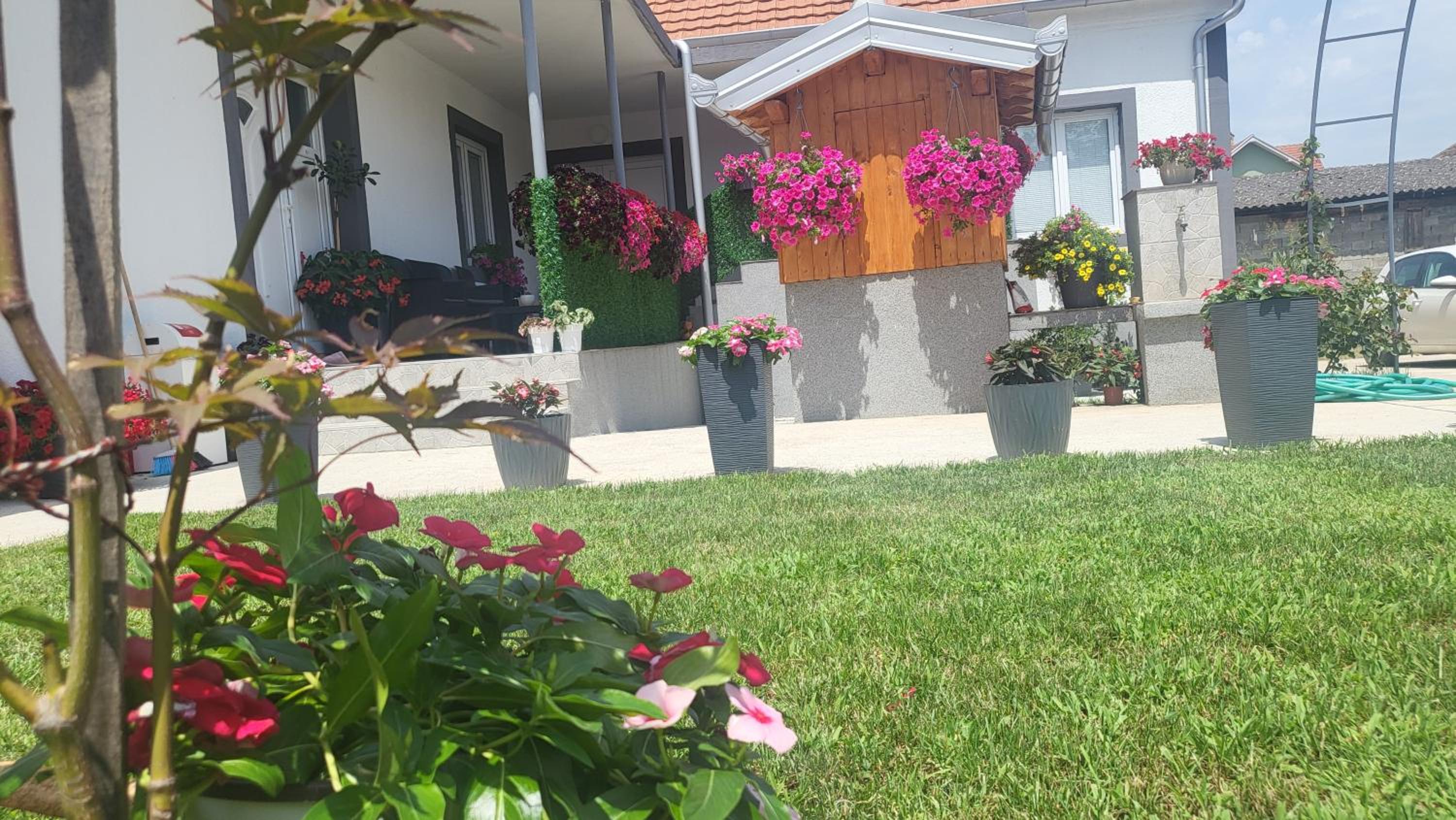 Apartman Villa Ruža