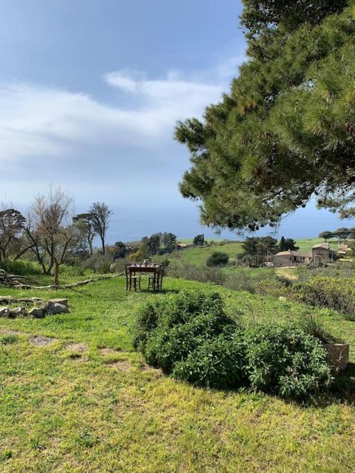 Casa Manfredi view 5
