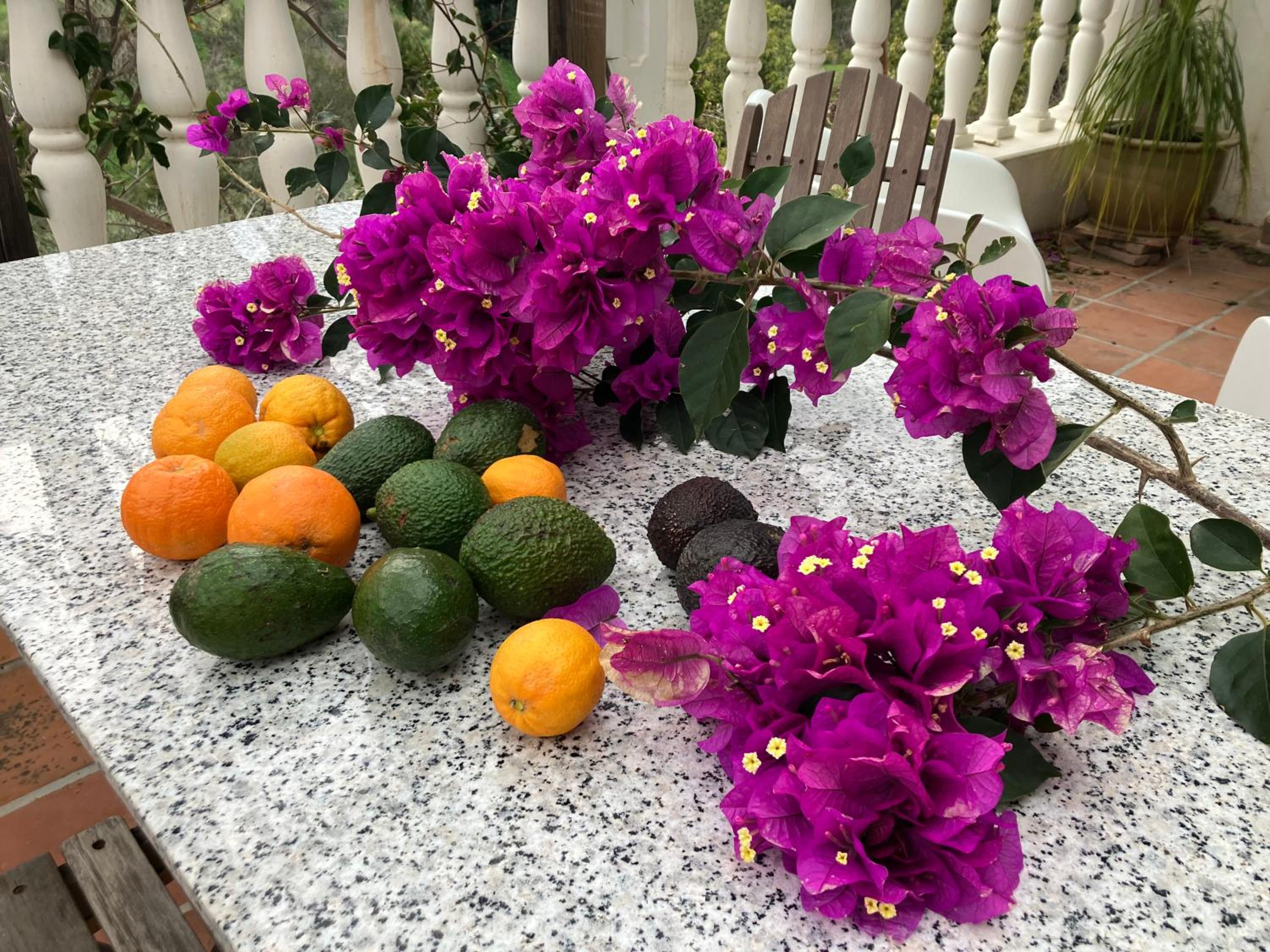 Las Golondrinas, authentic Cortijo in the hills of Almuñécar