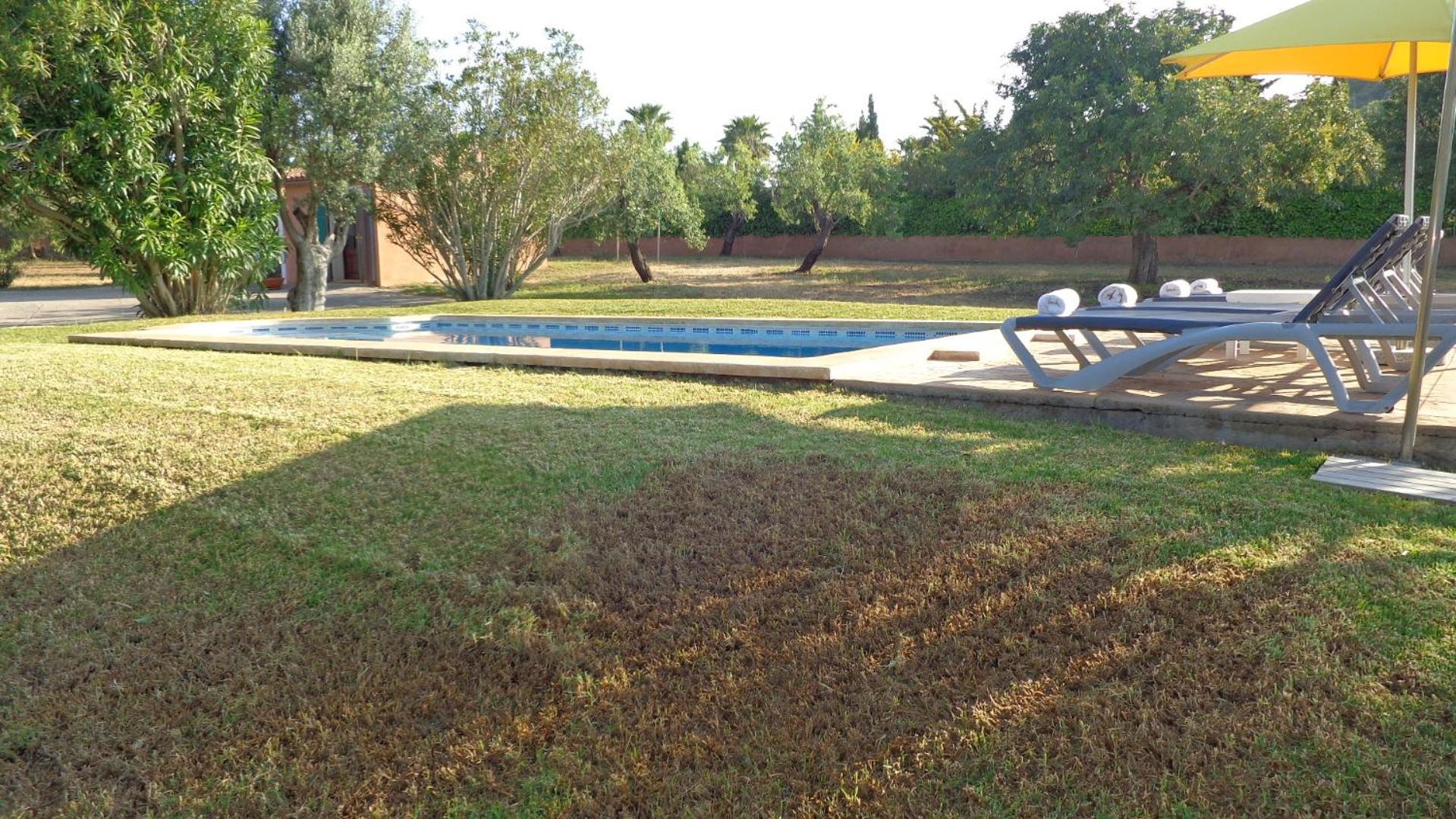 Photo 26