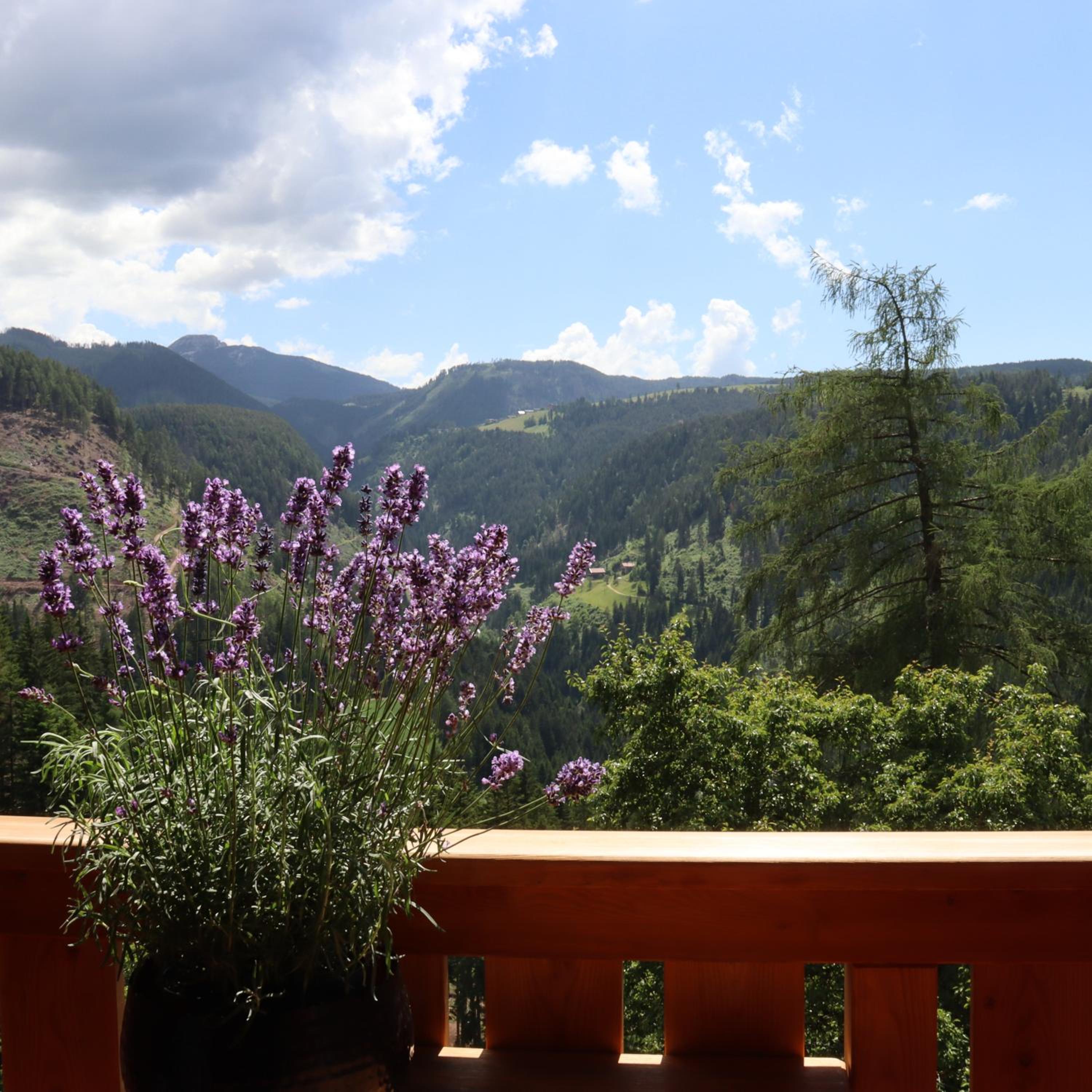 Ferienwohnung Lavendel Thalerhof view 5